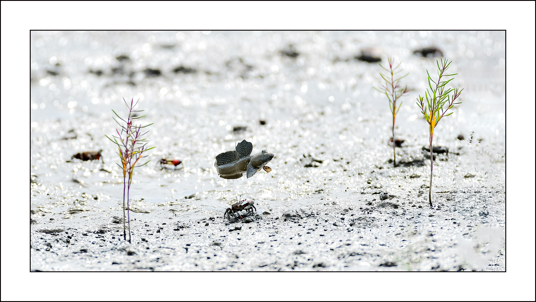   | PHOTO BY : 삿갓/정봉식  |