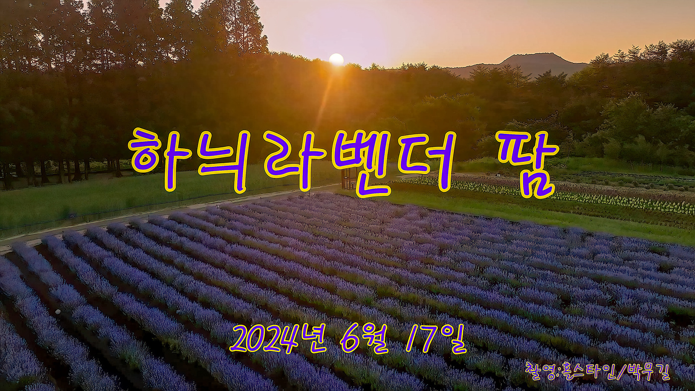   | PHOTO BY : 홀스타인/박무길  |