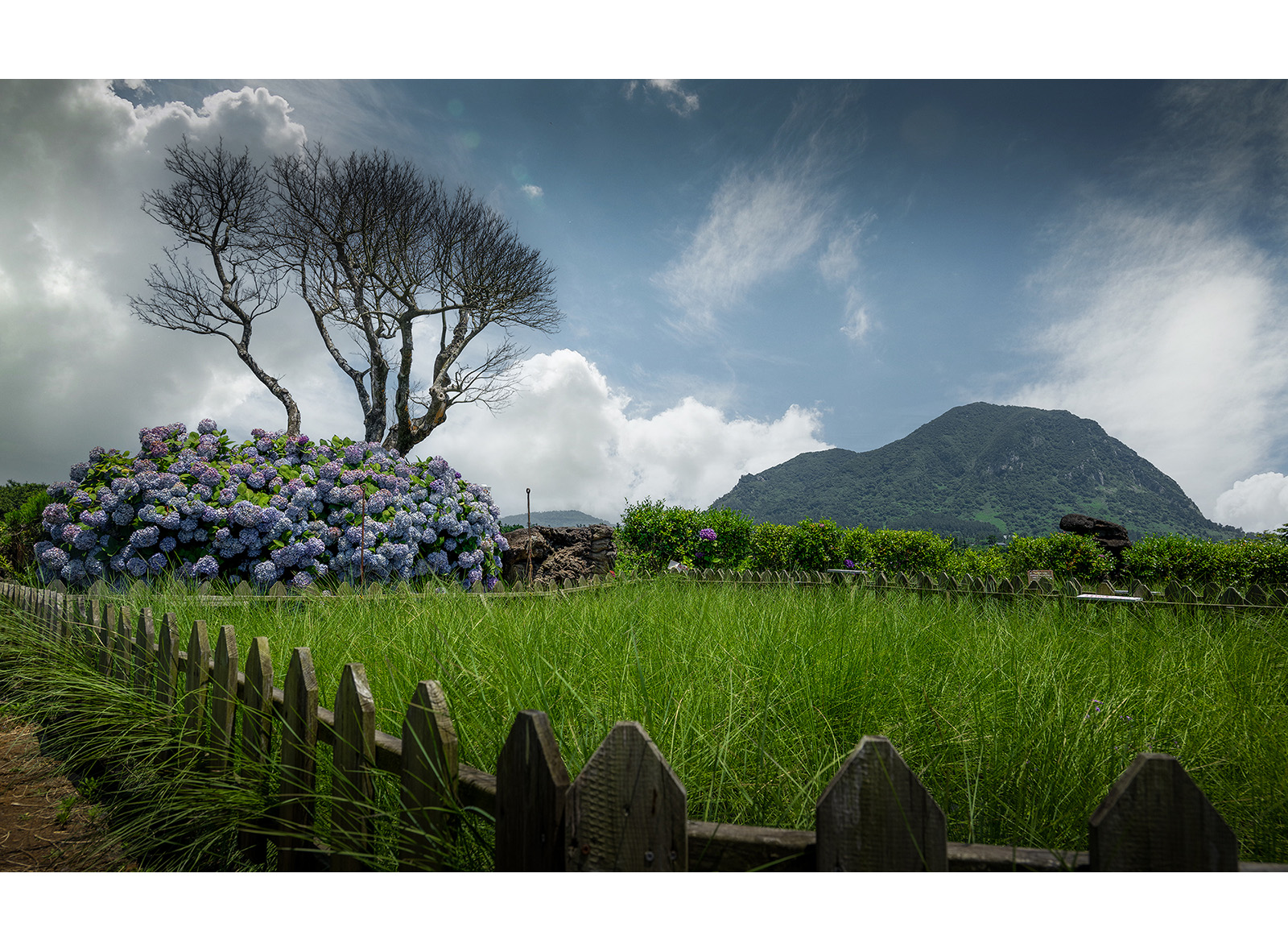 PHOTO BY  | NIKON Z 9 | 2024:06:13 13:21:48 | ISO-100 | 1/500 sec | f 8 | 24 mm | EV=0 | ● WIDTH:1600 pixels  HEIGHT:1182 pixels