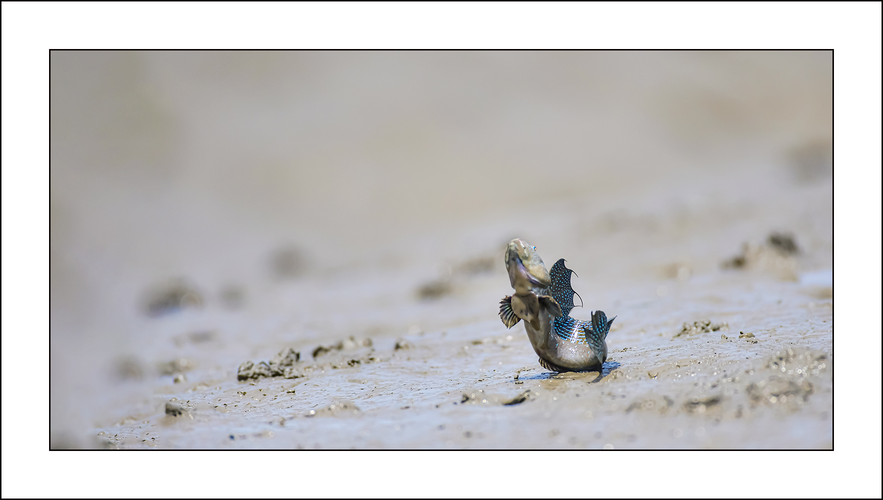   | PHOTO BY : 삿갓/정봉식  |