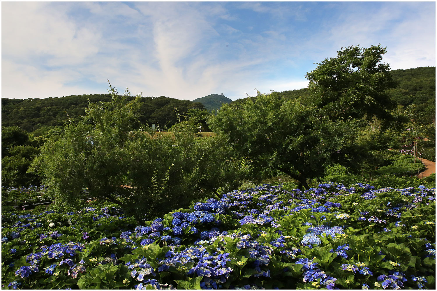   | PHOTO BY : 몰운대/조태열  |