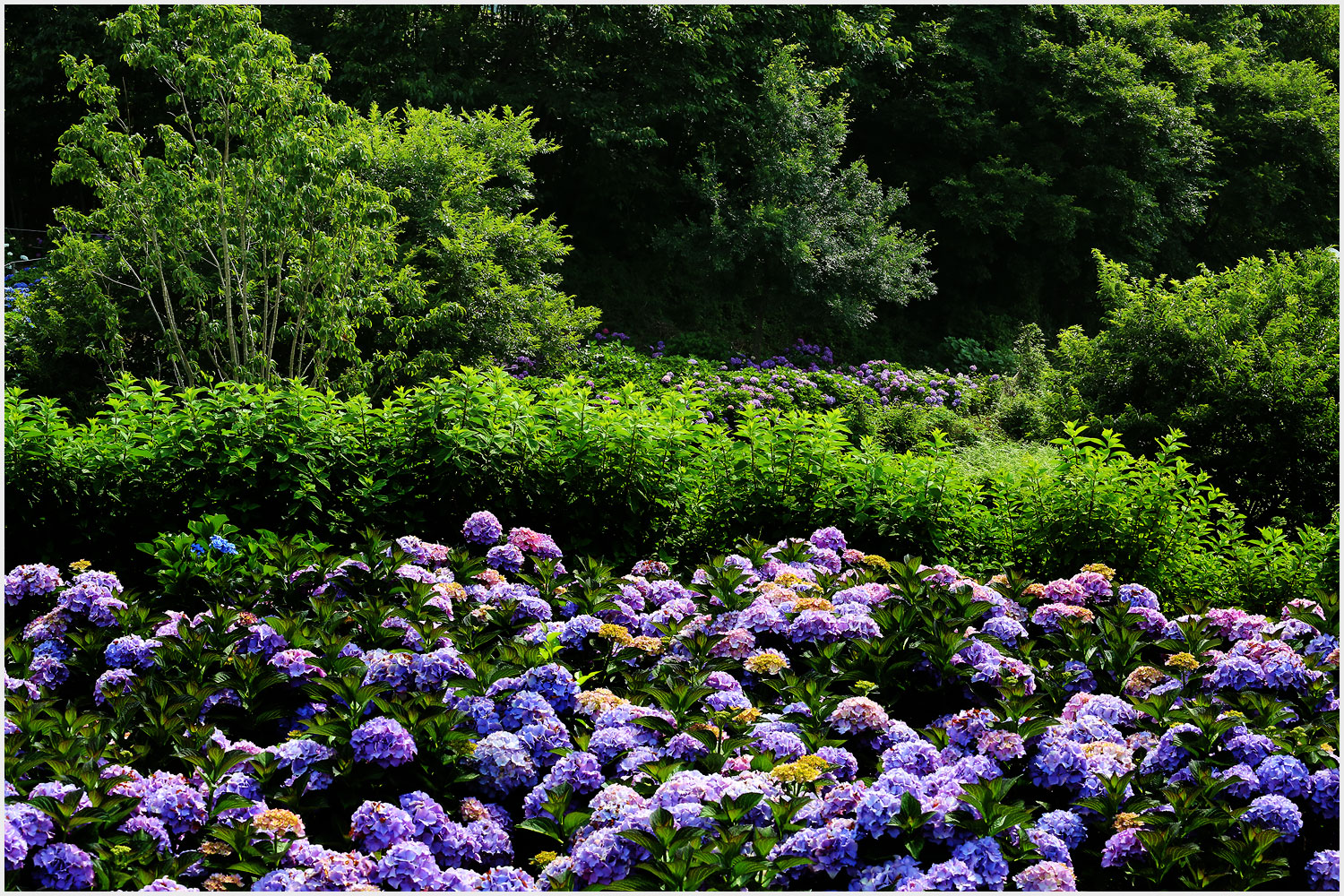  | PHOTO BY : 몰운대/조태열  |