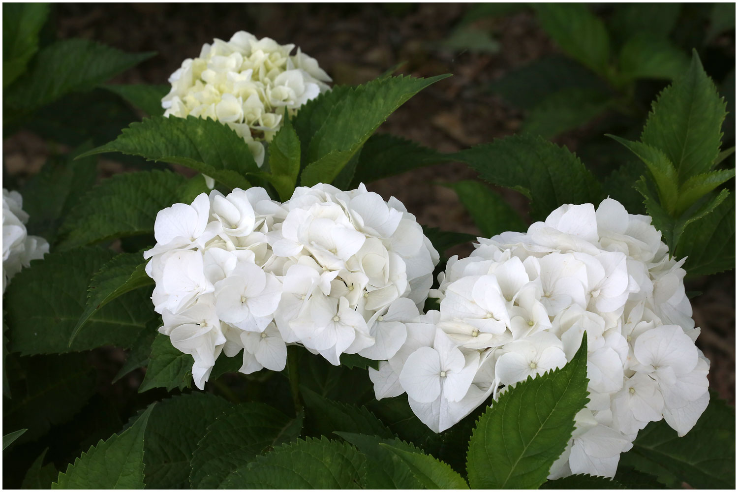   | PHOTO BY : 몰운대/조태열  |