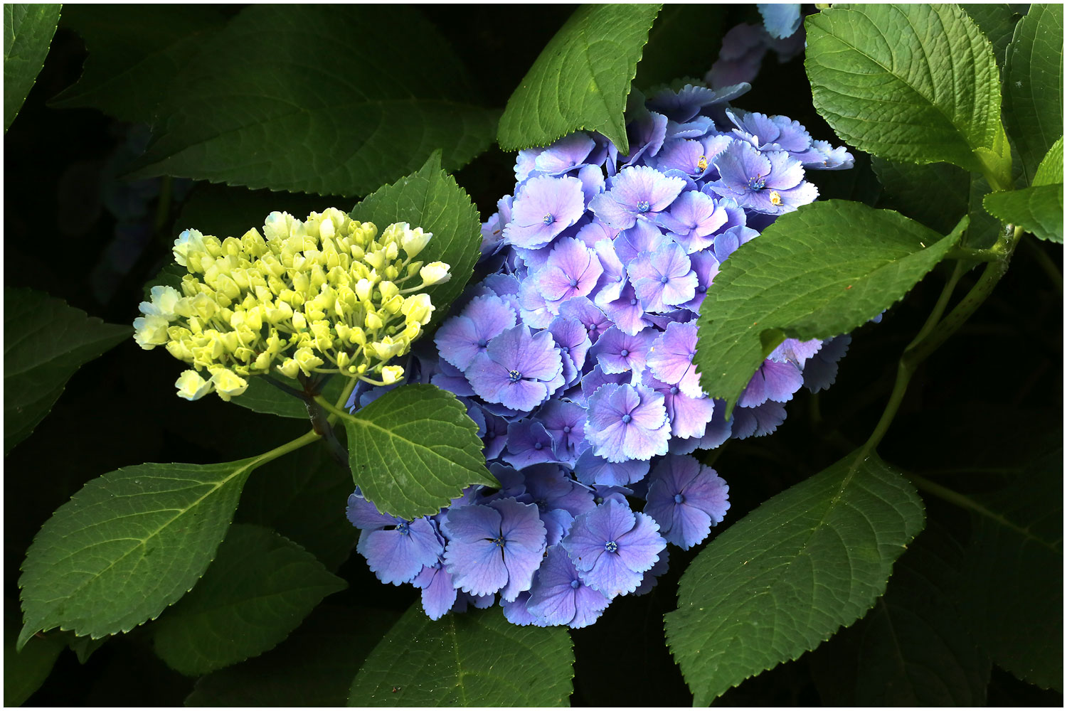   | PHOTO BY : 몰운대/조태열  |