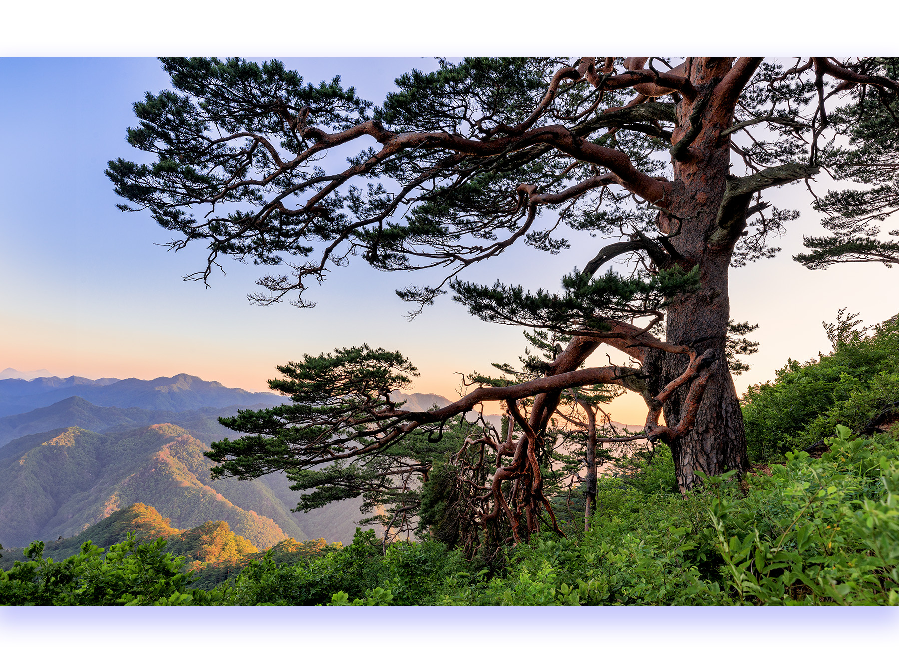 PHOTO BY PARK SEUNGWOO | Canon EOS 5D Mark IV | 2024:06:16 05:40:08 | ISO-100 | 1/25 sec | f 9 | 23 mm | EV=0 | ● WIDTH:1800 pixels  HEIGHT:1328 pixels