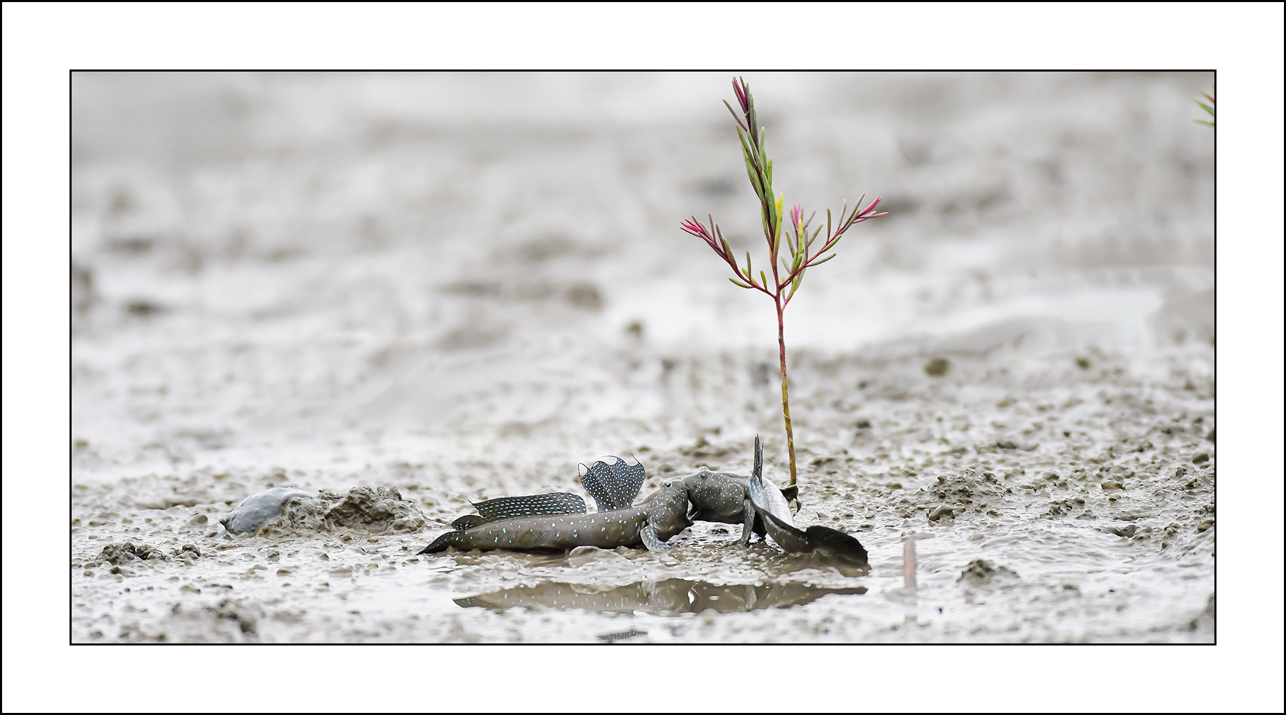   | PHOTO BY : 삿갓/정봉식  |