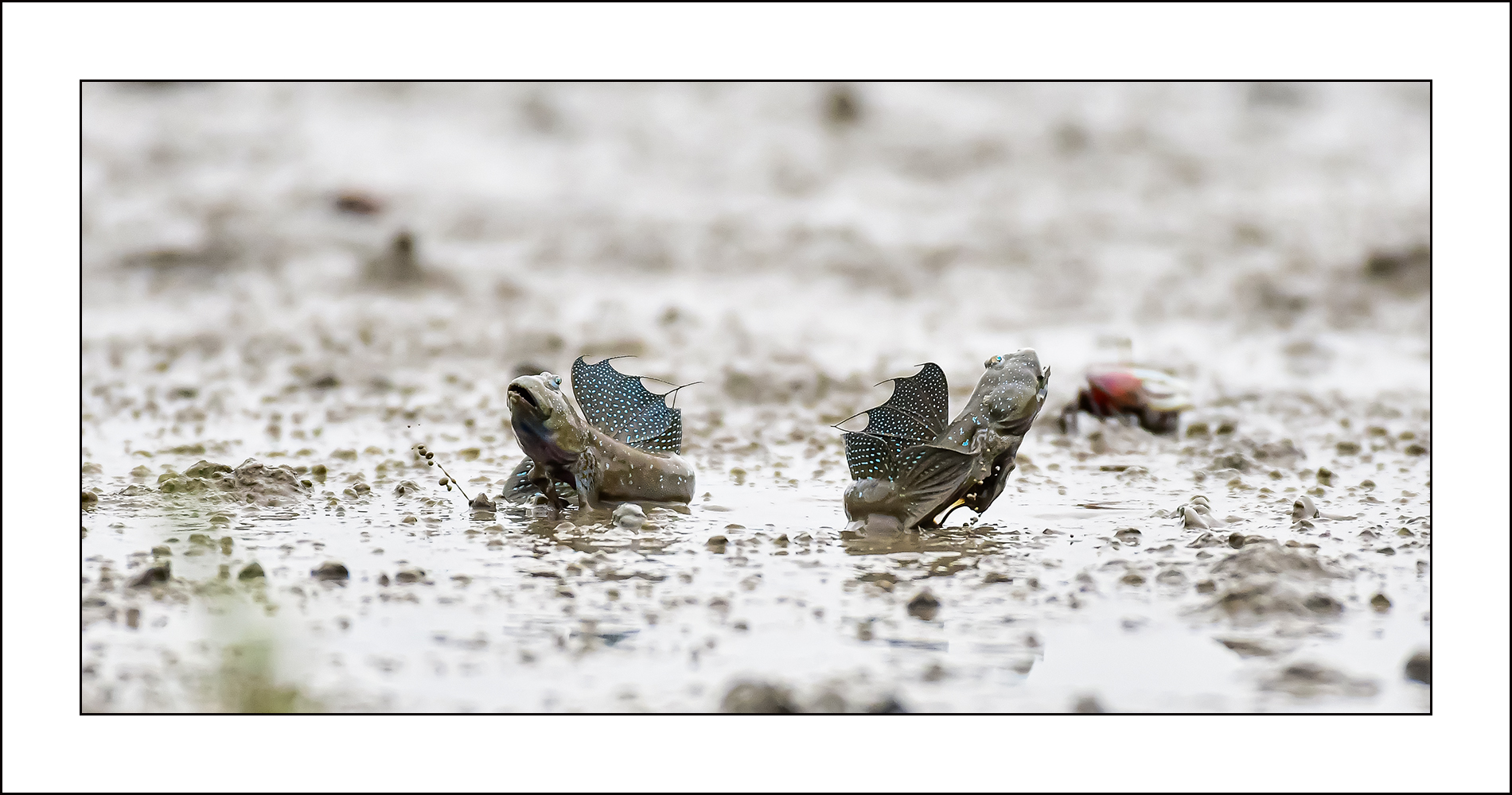   | PHOTO BY : 삿갓/정봉식  |