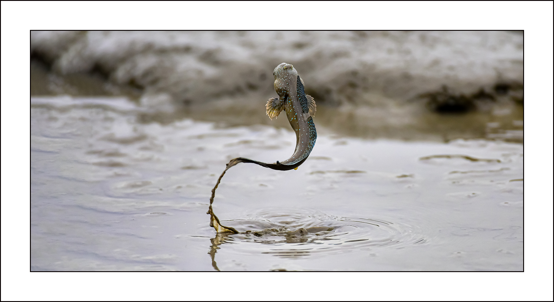   | PHOTO BY : 삿갓/정봉식  |