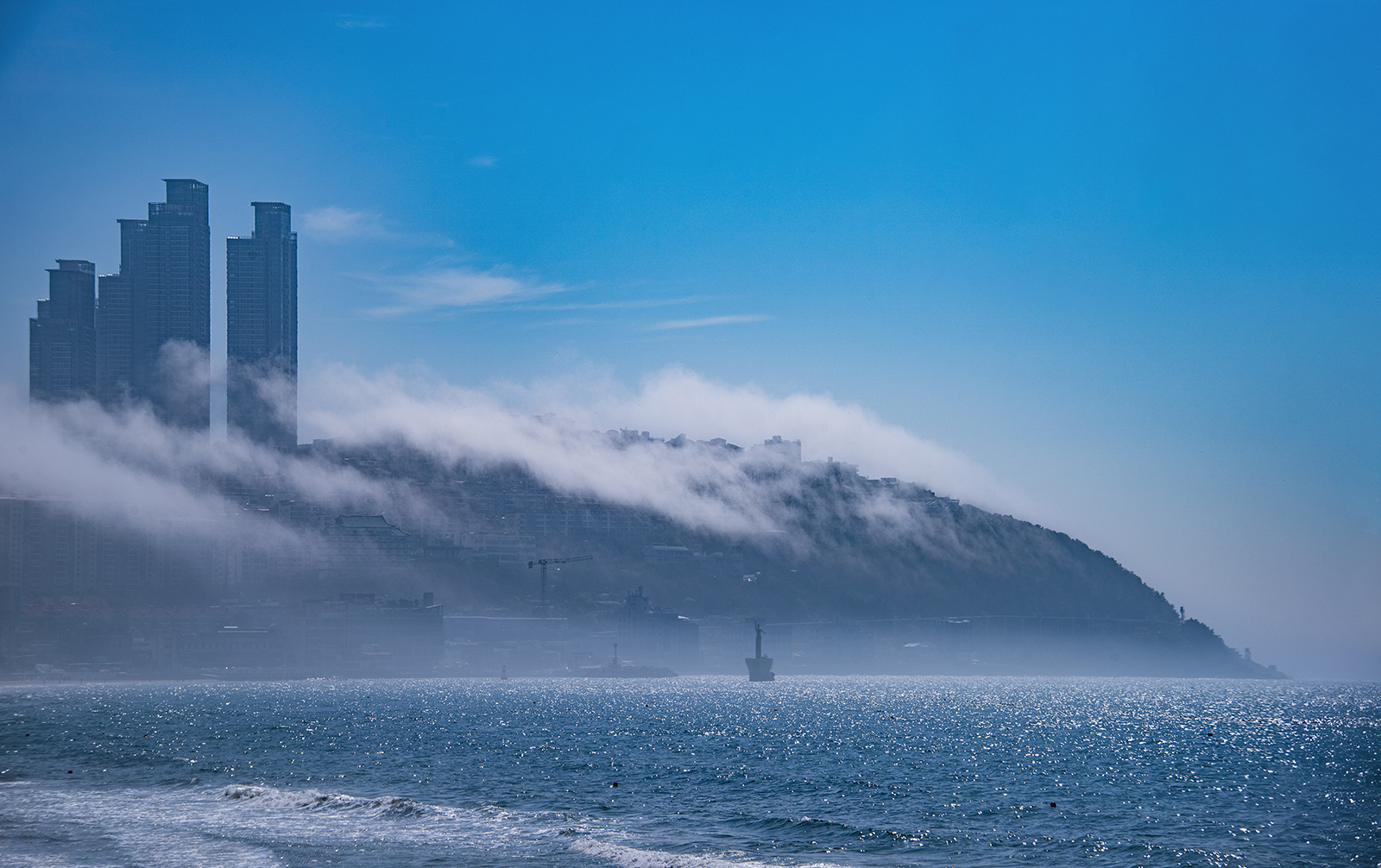 PHOTO BY ZENITHJin62 | NIKON D810 | 2024:07:04 09:12:53 | ISO-100 | 1/200 sec | f 11 | 105 mm | EV=0 | ● WIDTH:1600 pixels  HEIGHT:1006 pixels
