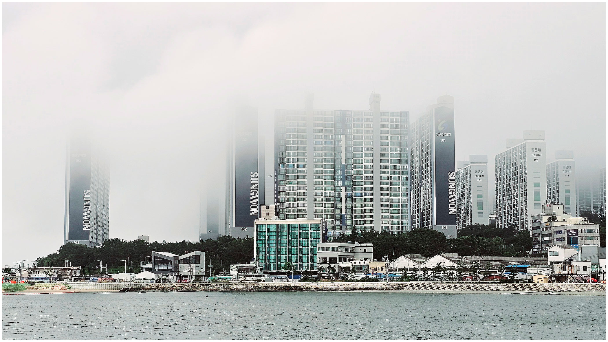   | PHOTO BY : 몰운대/조태열  |