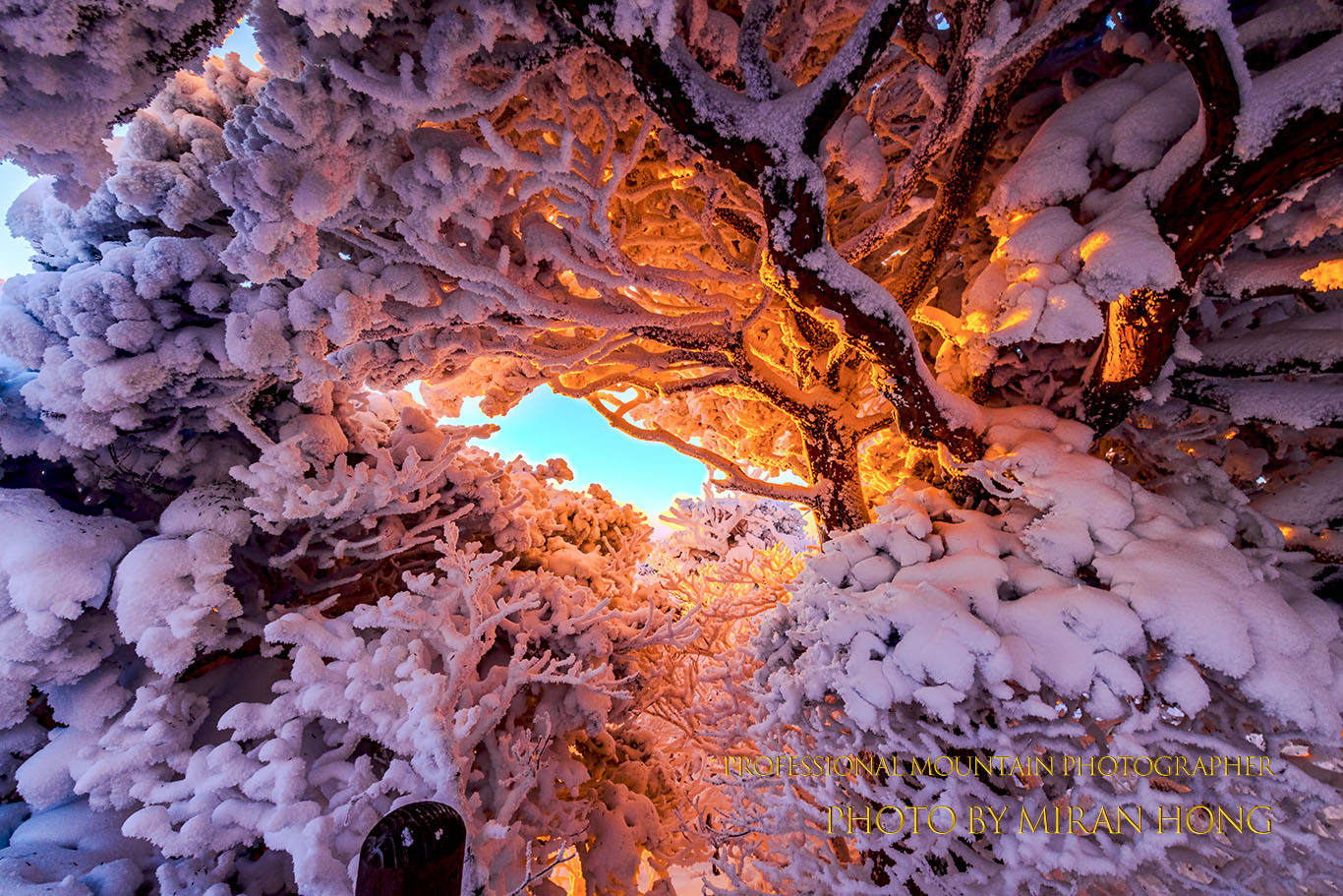 PHOTO BY Hong Mi Ran | NIKON D850 | 2023:12:22 17:10:46 | ISO-250 | 1/50 sec | f 13 | 14 mm | EV=0.7 | ● WIDTH:1366 pixels  HEIGHT:911 pixels