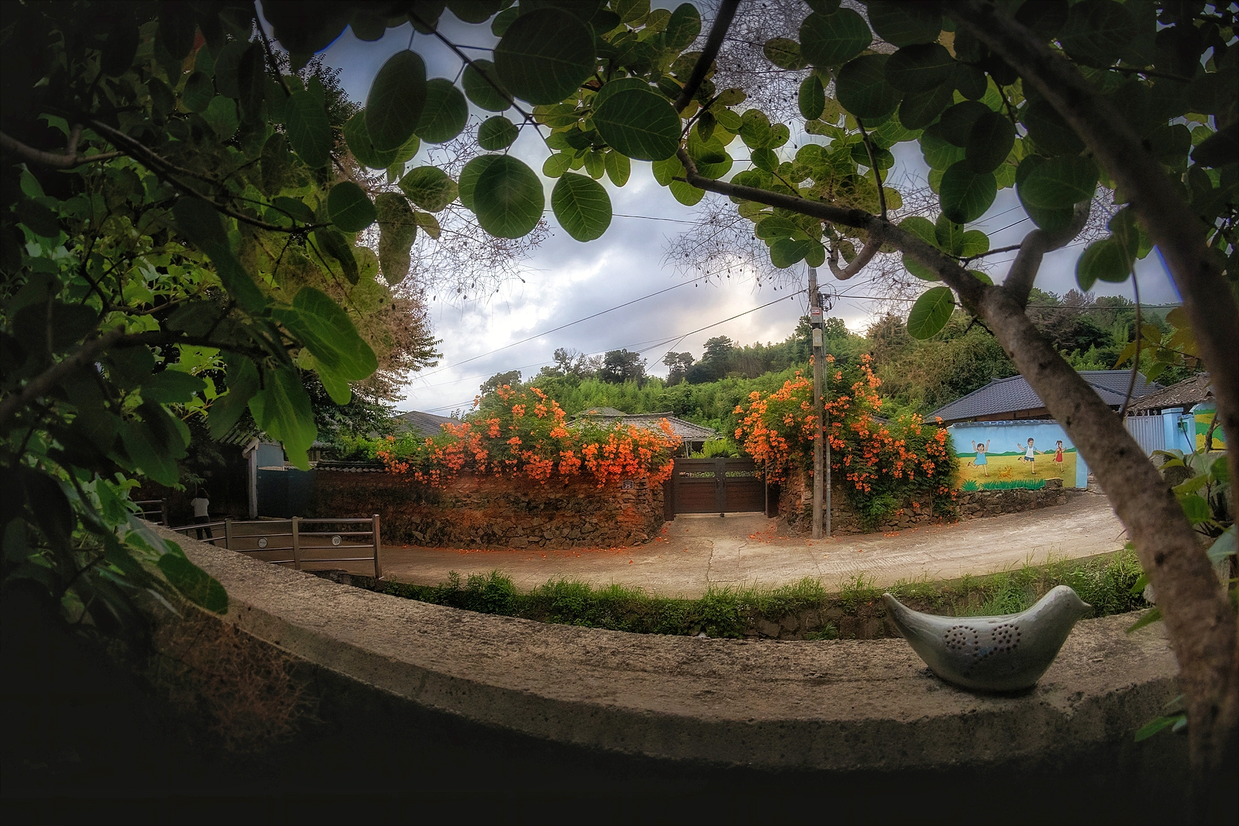   | PHOTO BY : 조현래  |