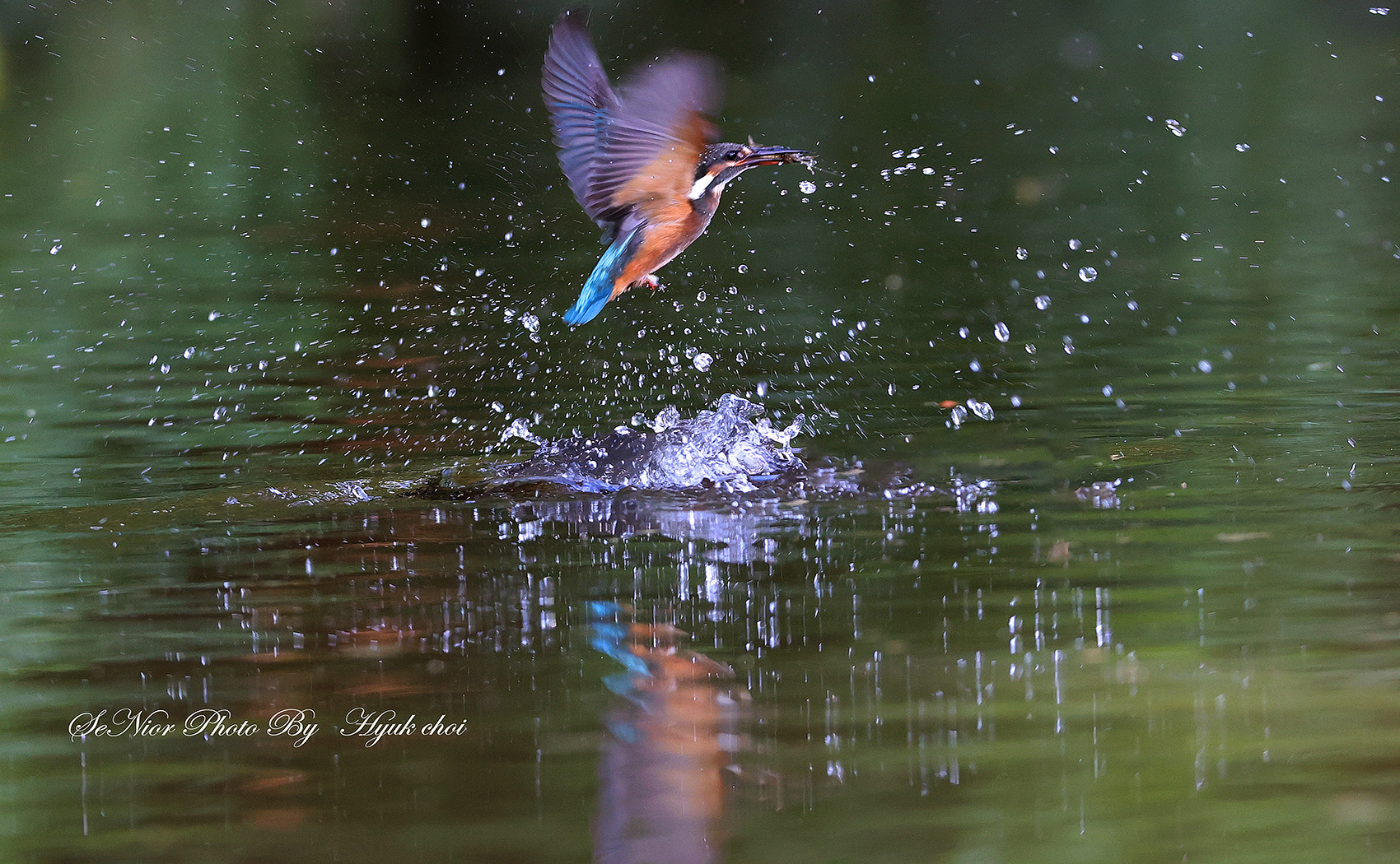 PHOTO BY  | Canon EOS R6 | 2024:07:05 14:48:42 | ISO-5000 | 1/500 sec | f 6.3 | 226 mm | EV=0 | ● WIDTH:1700 pixels  HEIGHT:1050 pixels