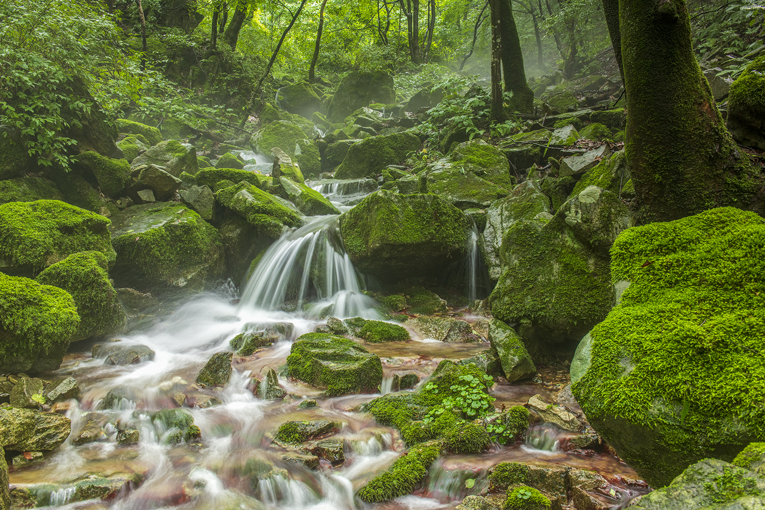 PHOTO BY  | NIKON D850 | 2024:07:08 14:53:04 | ISO-320 | 1/2 sec | f 11 | 28 mm | EV=0 | ● WIDTH:1500 pixels  HEIGHT:1000 pixels