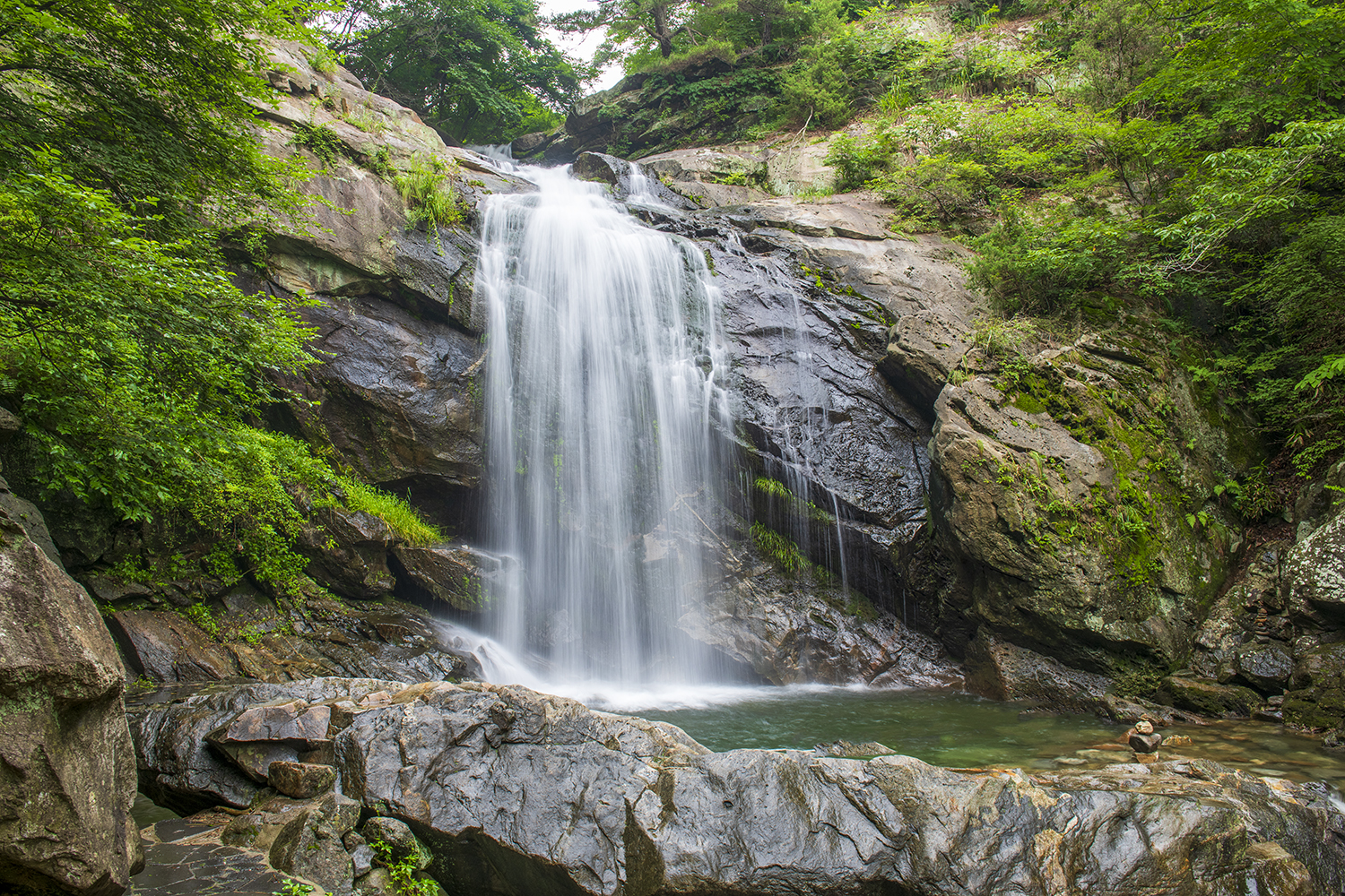 PHOTO BY  | NIKON D850 | 2024:07:08 08:45:46 | ISO-160 | 1/4 sec | f 9 | 27 mm | EV=0 | ● WIDTH:1500 pixels  HEIGHT:1000 pixels
