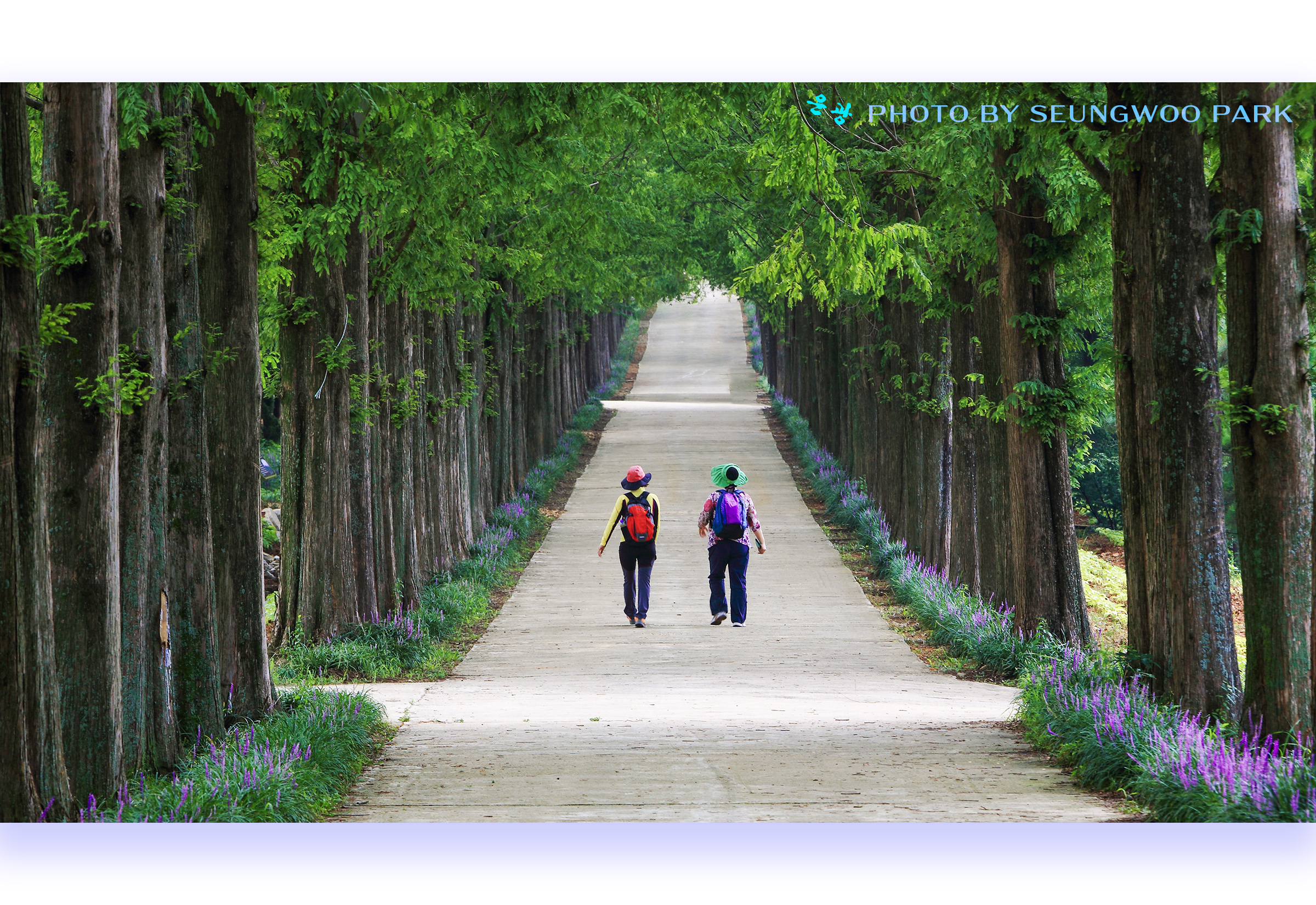 PHOTO BY :07:09 20:44:12Parkseungwoo[woonkwang]43woo@hanmail.net | CanonCanon  |  | ISO- |  |  |  | EV=0 | ● WIDTH:  HEIGHT: