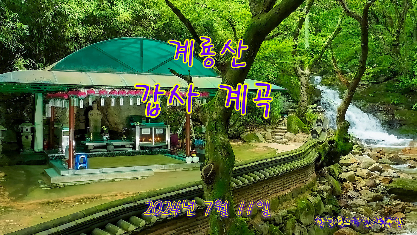   | PHOTO BY : 홀스타인/박무길  |