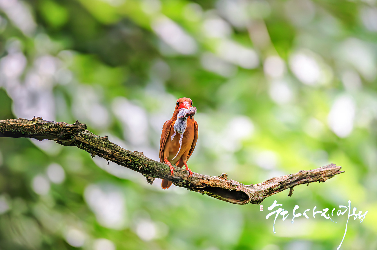   | PHOTO BY : 수당/박상돈  |