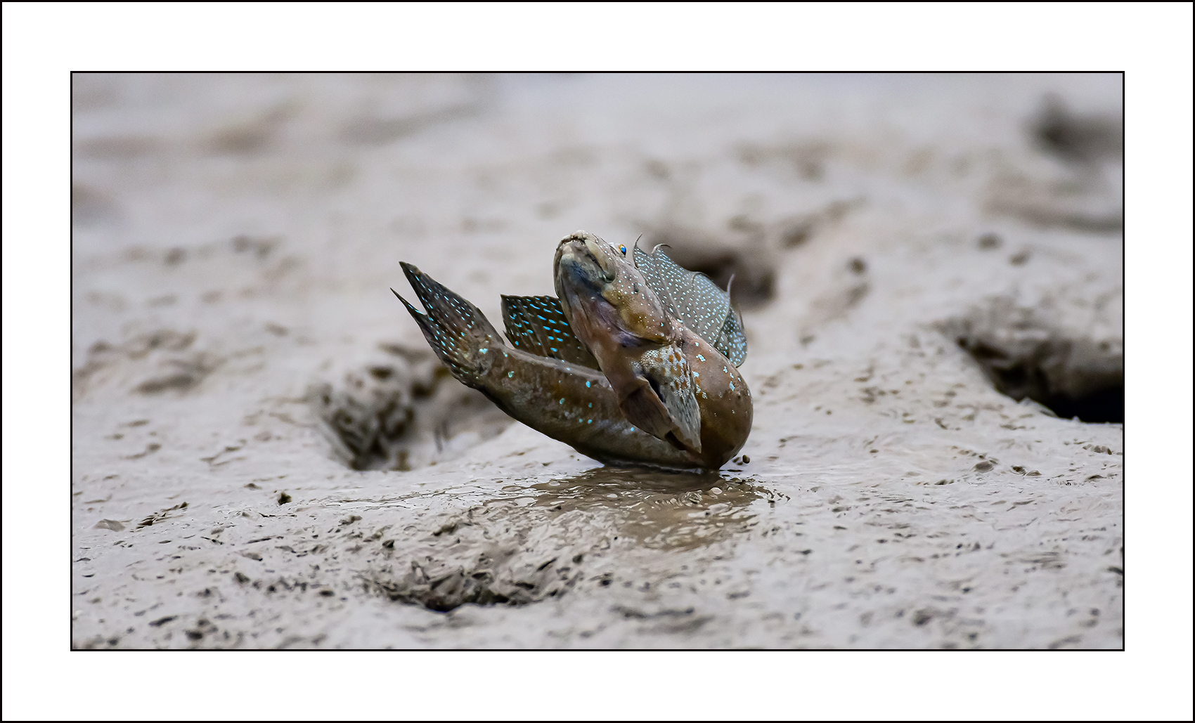   | PHOTO BY : 삿갓/정봉식  |