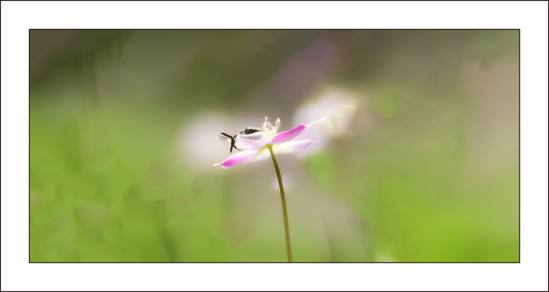   | PHOTO BY : 삿갓/정봉식  |