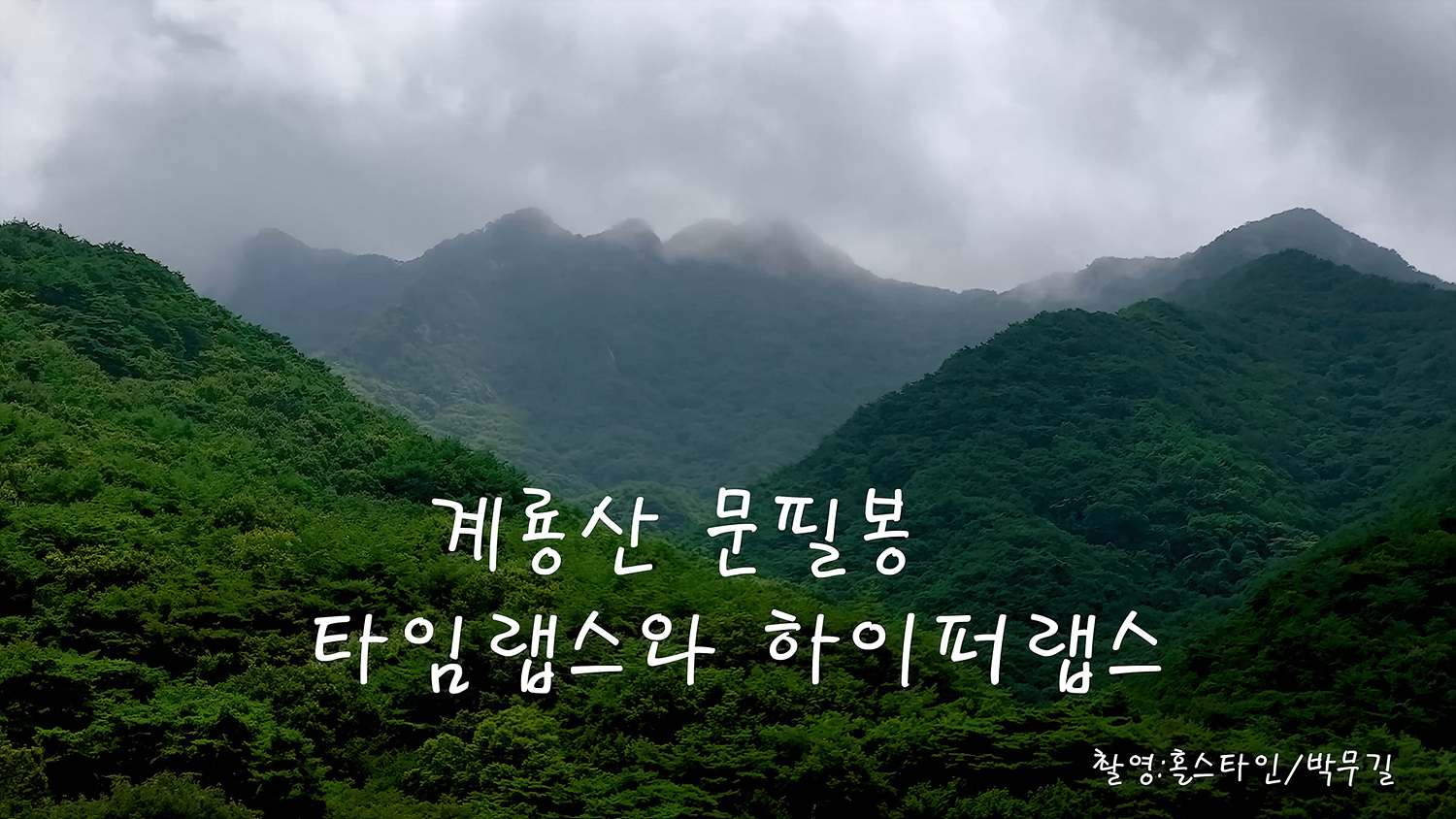   | PHOTO BY : 홀스타인/박무길  |