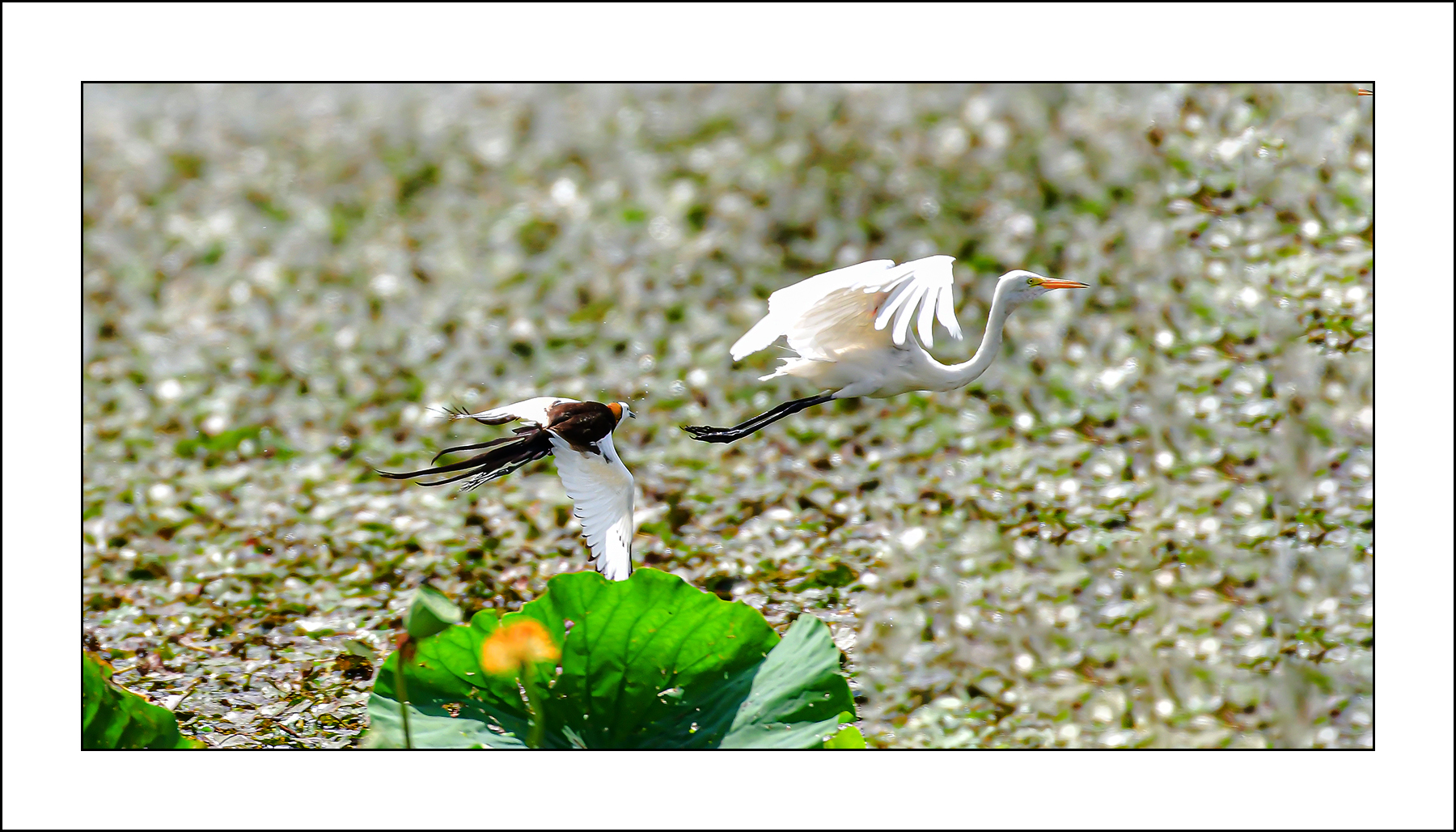   | PHOTO BY : Photo No Data |