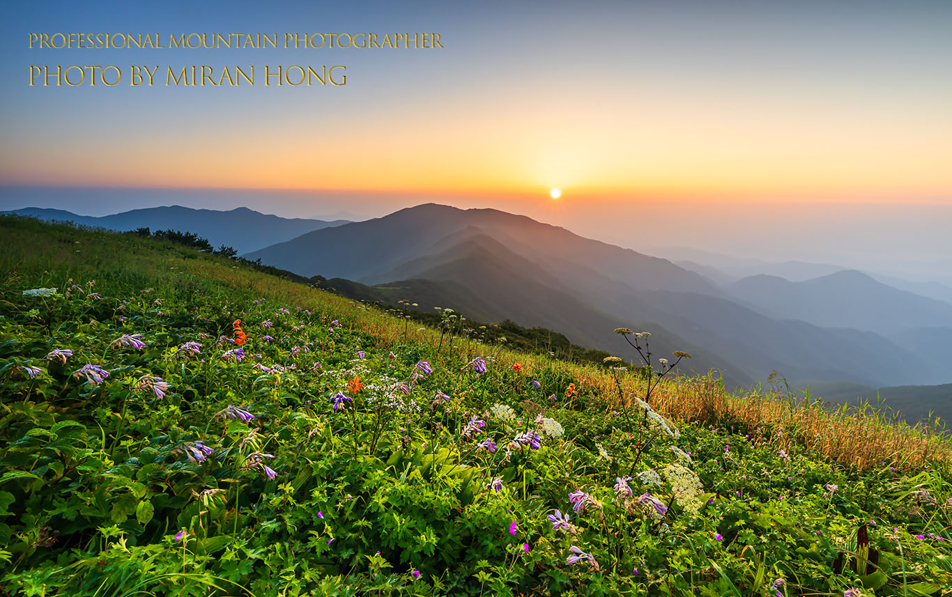 PHOTO BY HONG_MI_RAN | NIKON Z 8 | 2024:08:04 05:43:12 | ISO-160 | 1/15 sec | f 13 | 16 mm | EV=0 | ● WIDTH:1366 pixels  HEIGHT:857 pixels