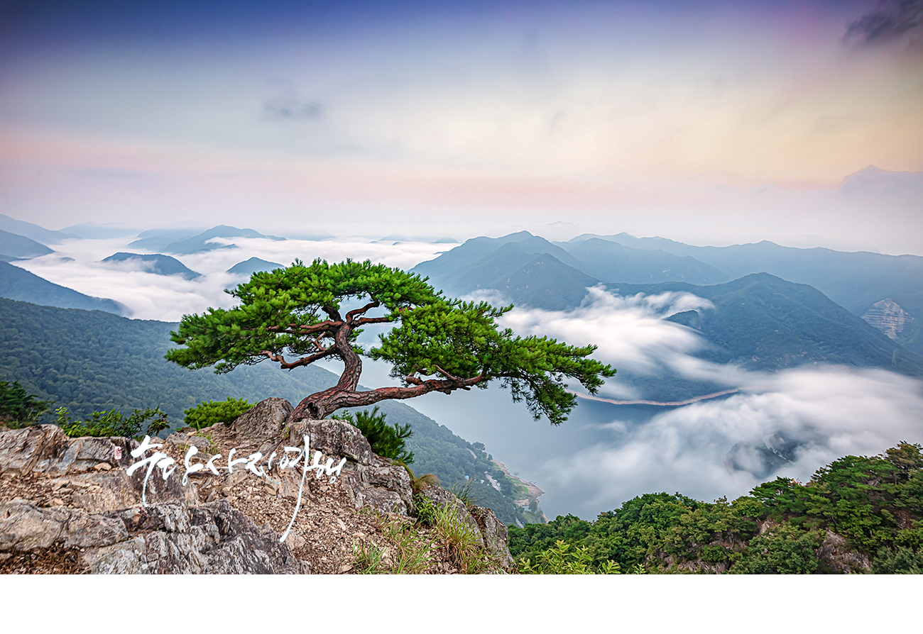   | PHOTO BY : 수당/박상돈  |