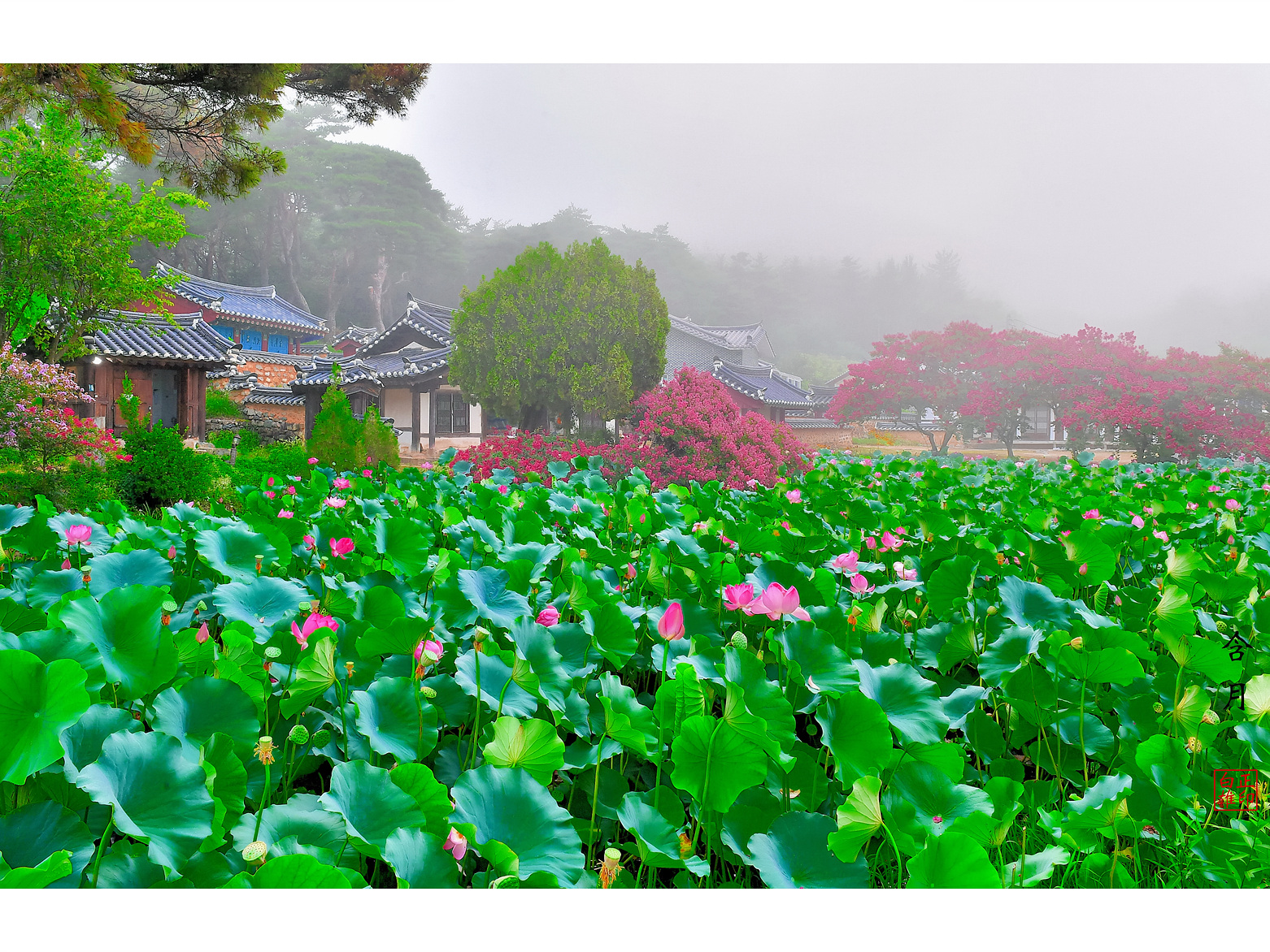   | PHOTO BY : 함월  |