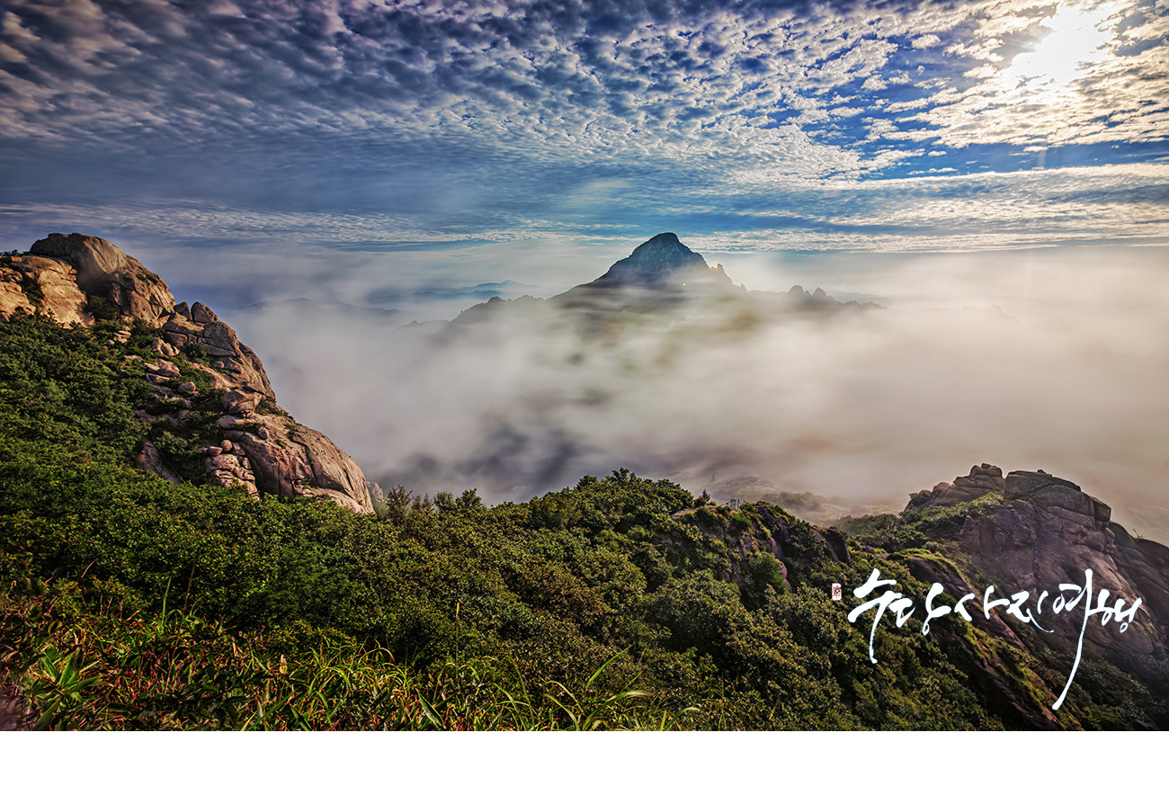   | PHOTO BY : 수당/박상돈  |
