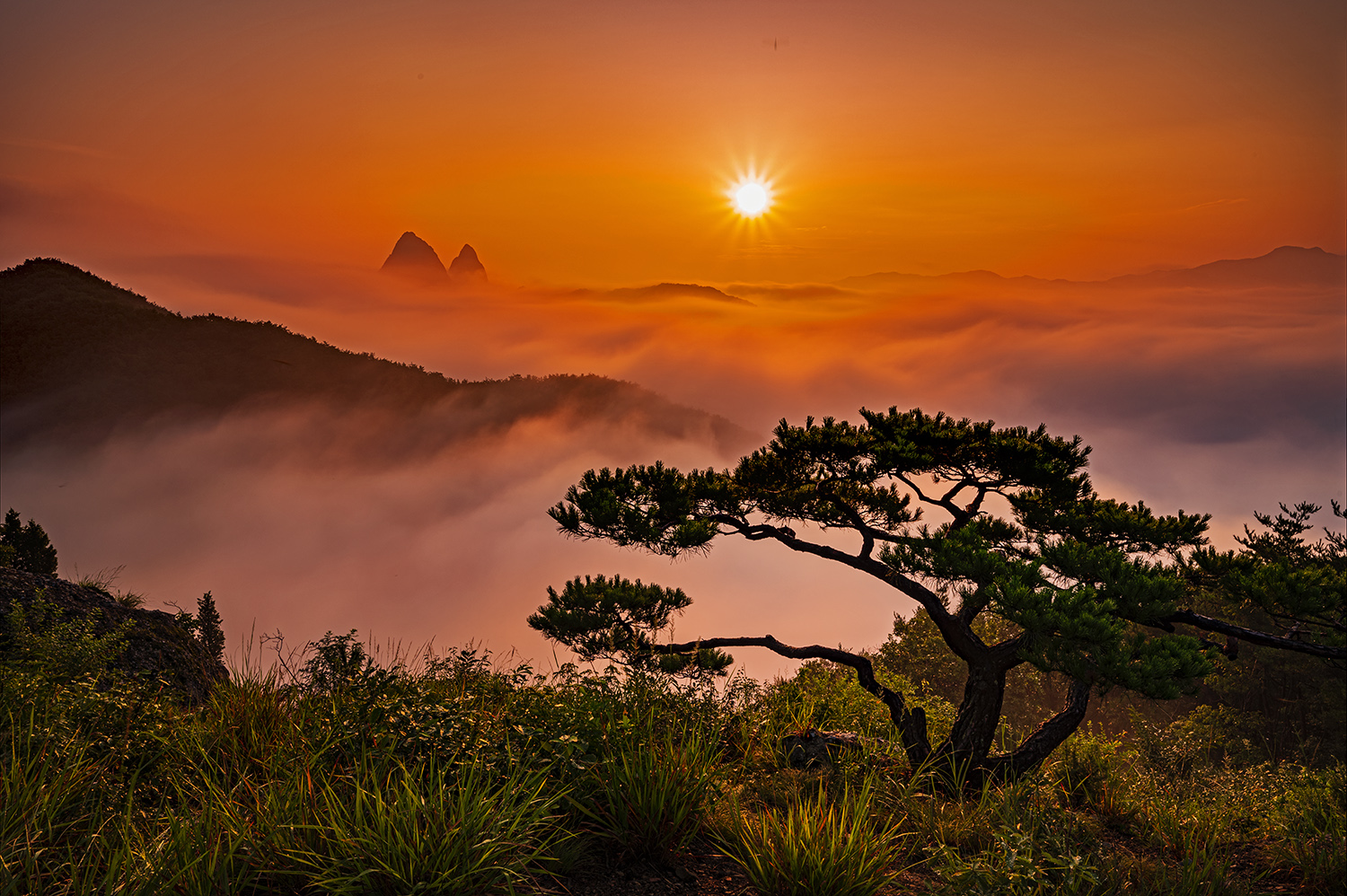 PHOTO BY  | NIKON Z 6_2 | 2024:08:11 06:22:11 | ISO-200 | 1/80 sec | f 16 | 23.5 mm | EV=0 | ● WIDTH:1500 pixels  HEIGHT:998 pixels