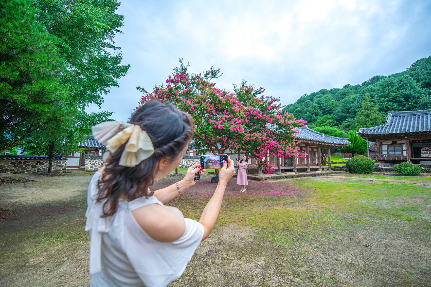 PHOTO BY  | NIKON D850 | 2024:08:04 16:08:25 | ISO-500 | 1/800 sec | f 3.5 | 15 mm | EV=0 | ● WIDTH:1700 pixels  HEIGHT:1133 pixels