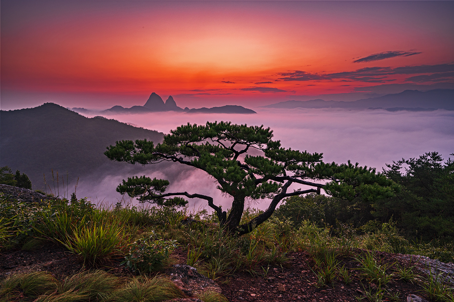 PHOTO BY  | NIKON Z 6_2 | 2024:08:11 05:31:04 | ISO-200 | 1/1 sec | f 16 | 20.5 mm | EV=-0.7 | ● WIDTH:1500 pixels  HEIGHT:998 pixels