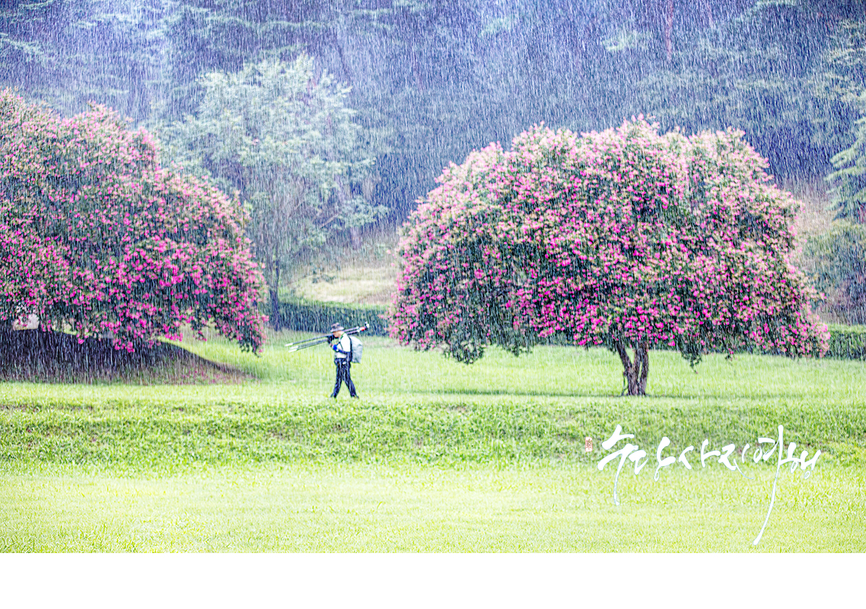   | PHOTO BY : 수당/박상돈  |