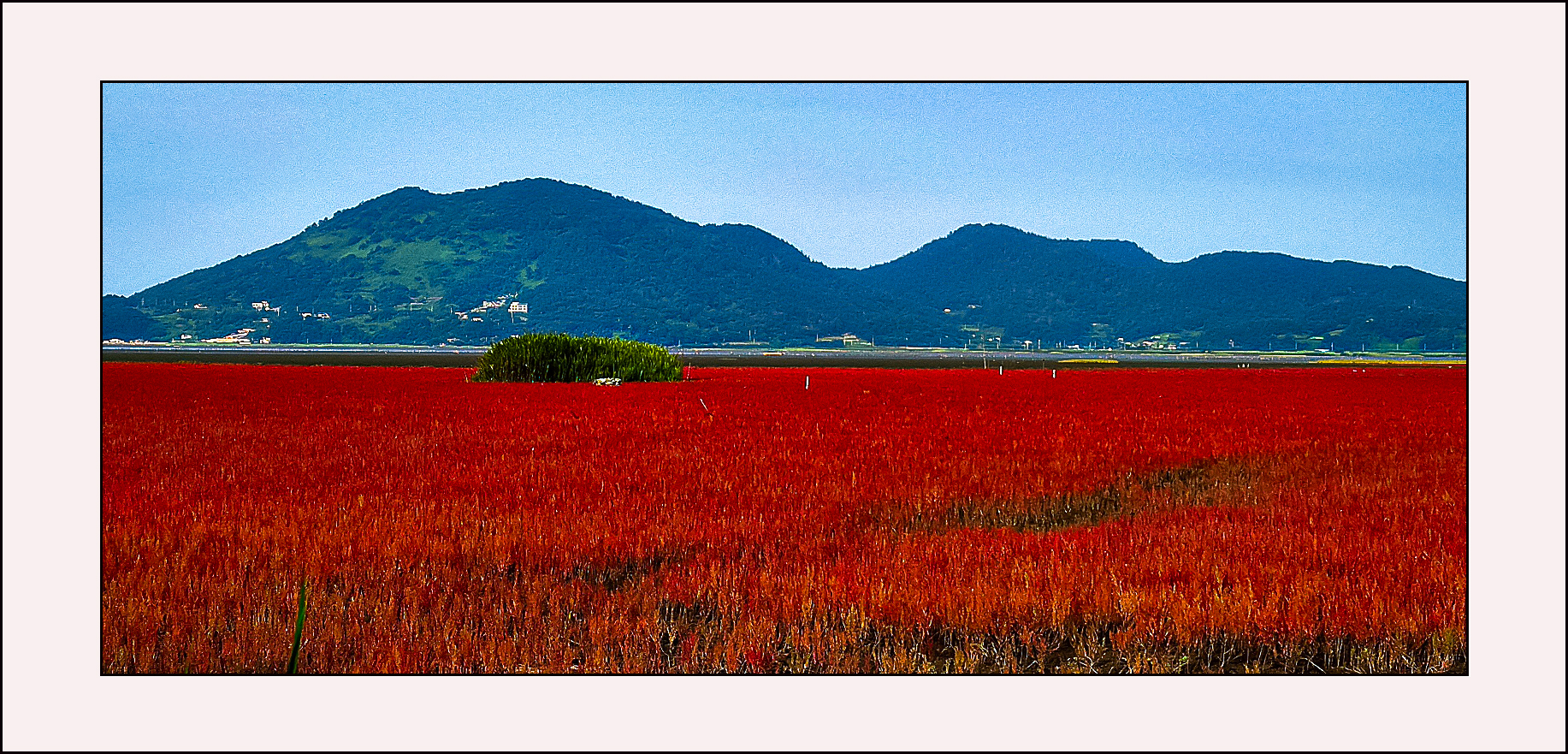   | PHOTO BY : 삿갓/정봉식  |