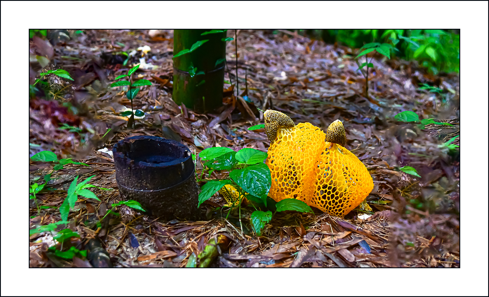   | PHOTO BY : 삿갓/정봉식  |
