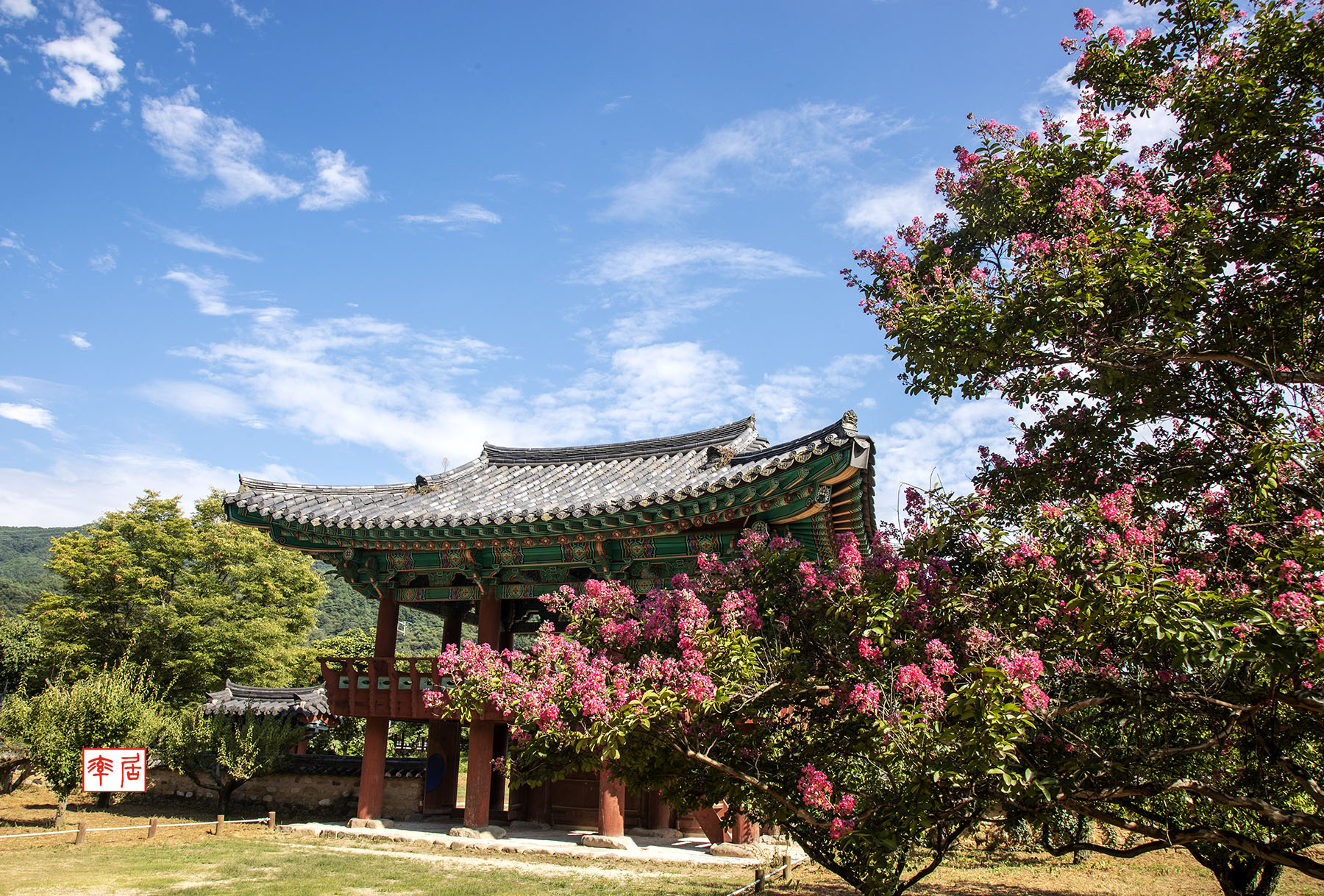 PHOTO BY changickheun | Canon EOS-1D X Mark III | 2024:08:14 15:56:50 | ISO-200 | 1/160 sec | f 11 | 28 mm | EV=0 | ● WIDTH:1800 pixels  HEIGHT:1218 pixels