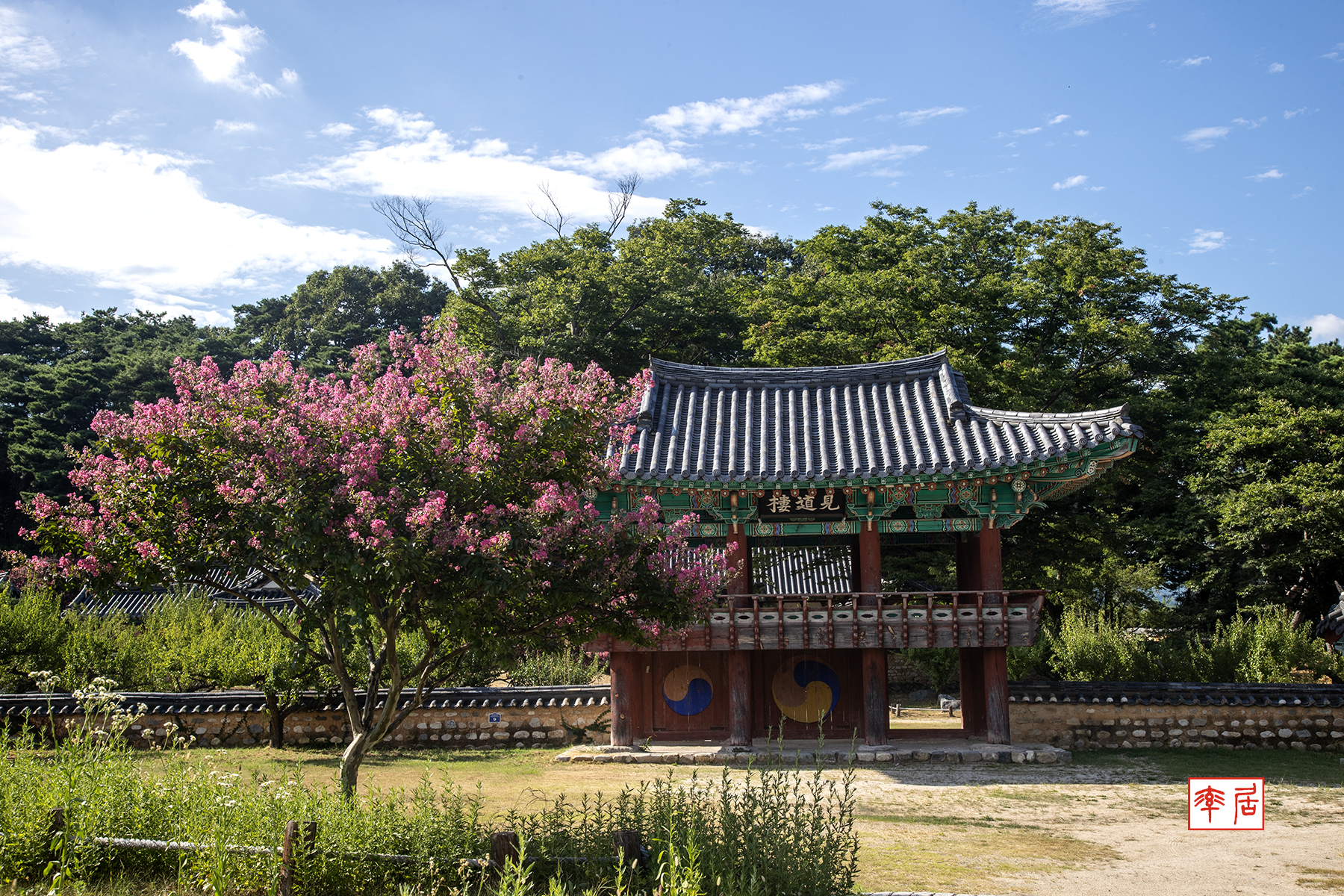 PHOTO BY changickheun | Canon EOS-1D X Mark III | 2024:08:14 16:10:09 | ISO-200 | 1/160 sec | f 11 | 45 mm | EV=0 | ● WIDTH:1800 pixels  HEIGHT:1200 pixels
