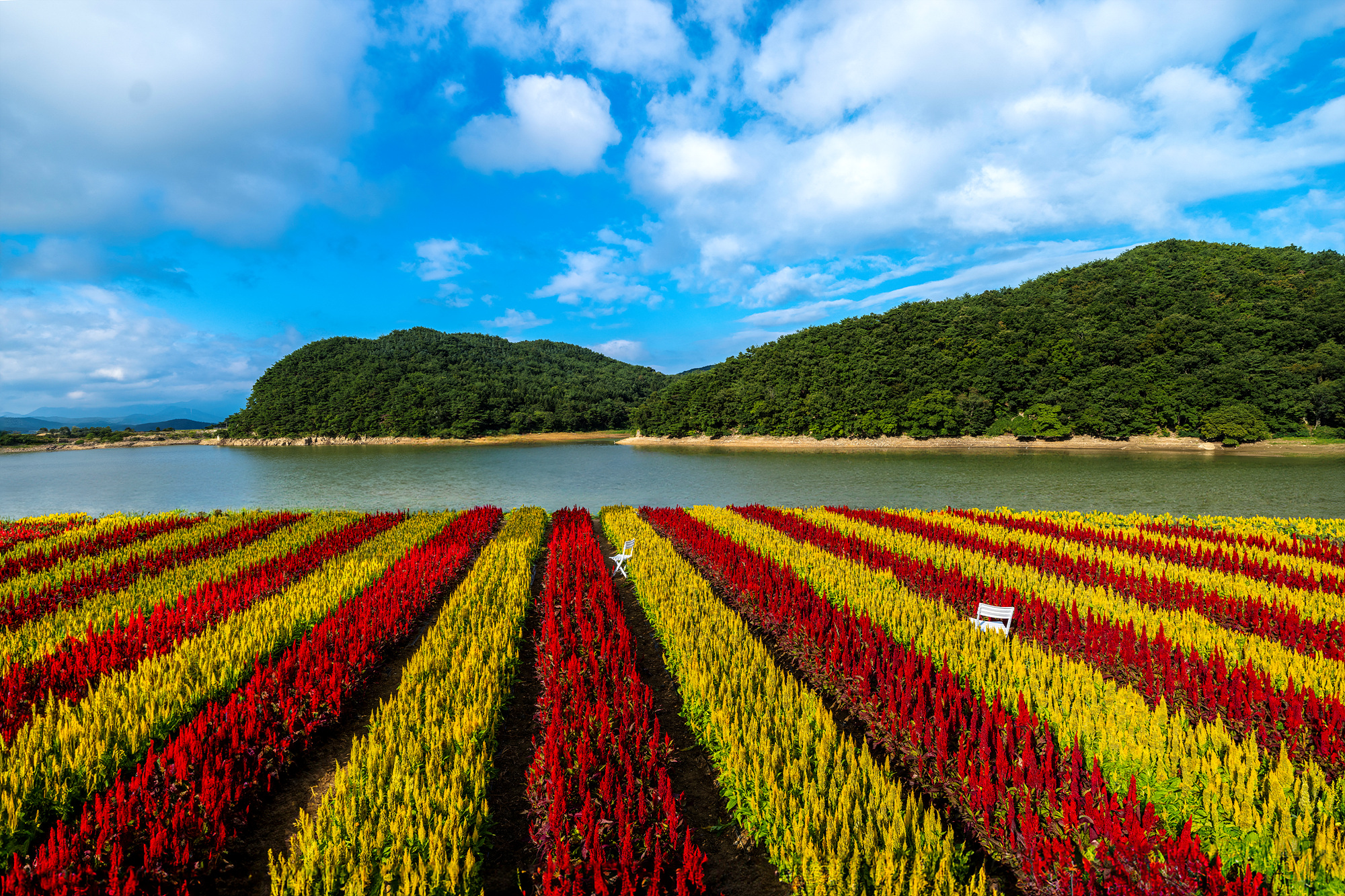 PHOTO BY  | GFX100S | 2024:08:15 08:01:32 | ISO-100 | 1/200 sec | f 8 | 20 mm | EV=0 | ● WIDTH:2000 pixels  HEIGHT:1333 pixels