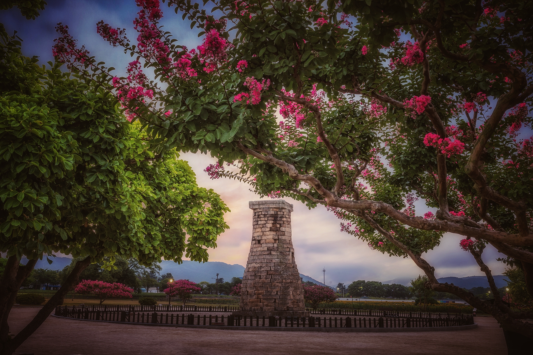   | PHOTO BY : 조현래  |