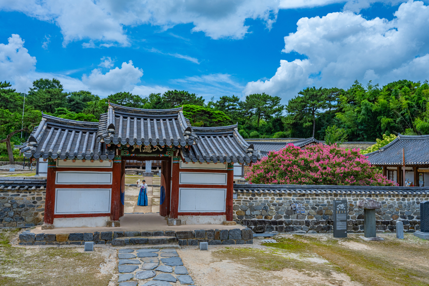 PHOTO BY CHUNG HYUN SUK | NIKON Z 7_2 | 2024:07:25 13:02:08 | ISO-200 | 1/250 sec | f 11 | 28.5 mm | EV=-0.3 | ● WIDTH:1500 pixels  HEIGHT:1000 pixels