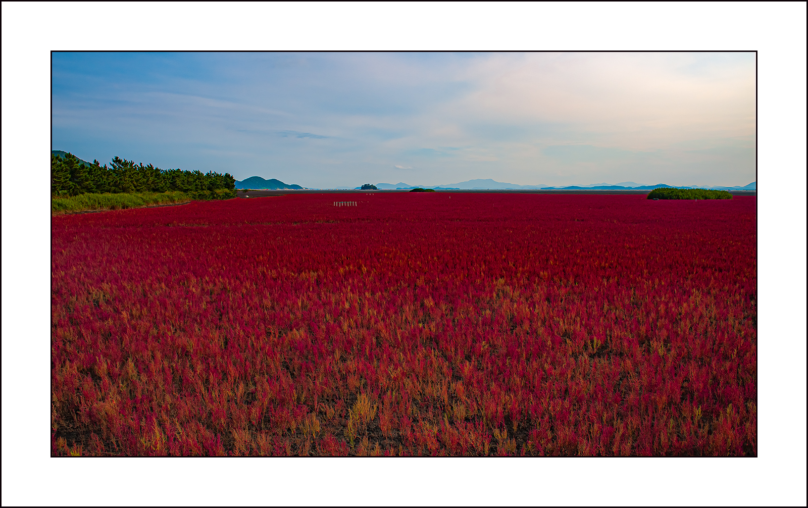   | PHOTO BY : 삿갓/정봉식  |