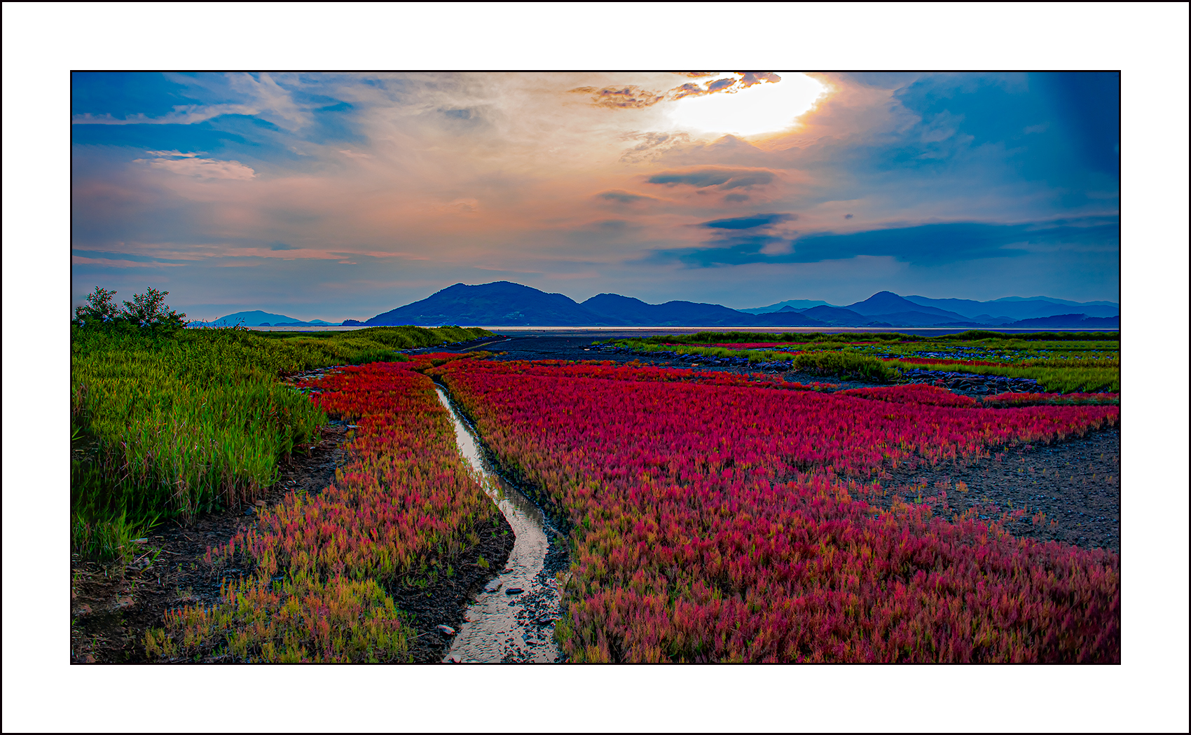  | PHOTO BY : 삿갓/정봉식  |