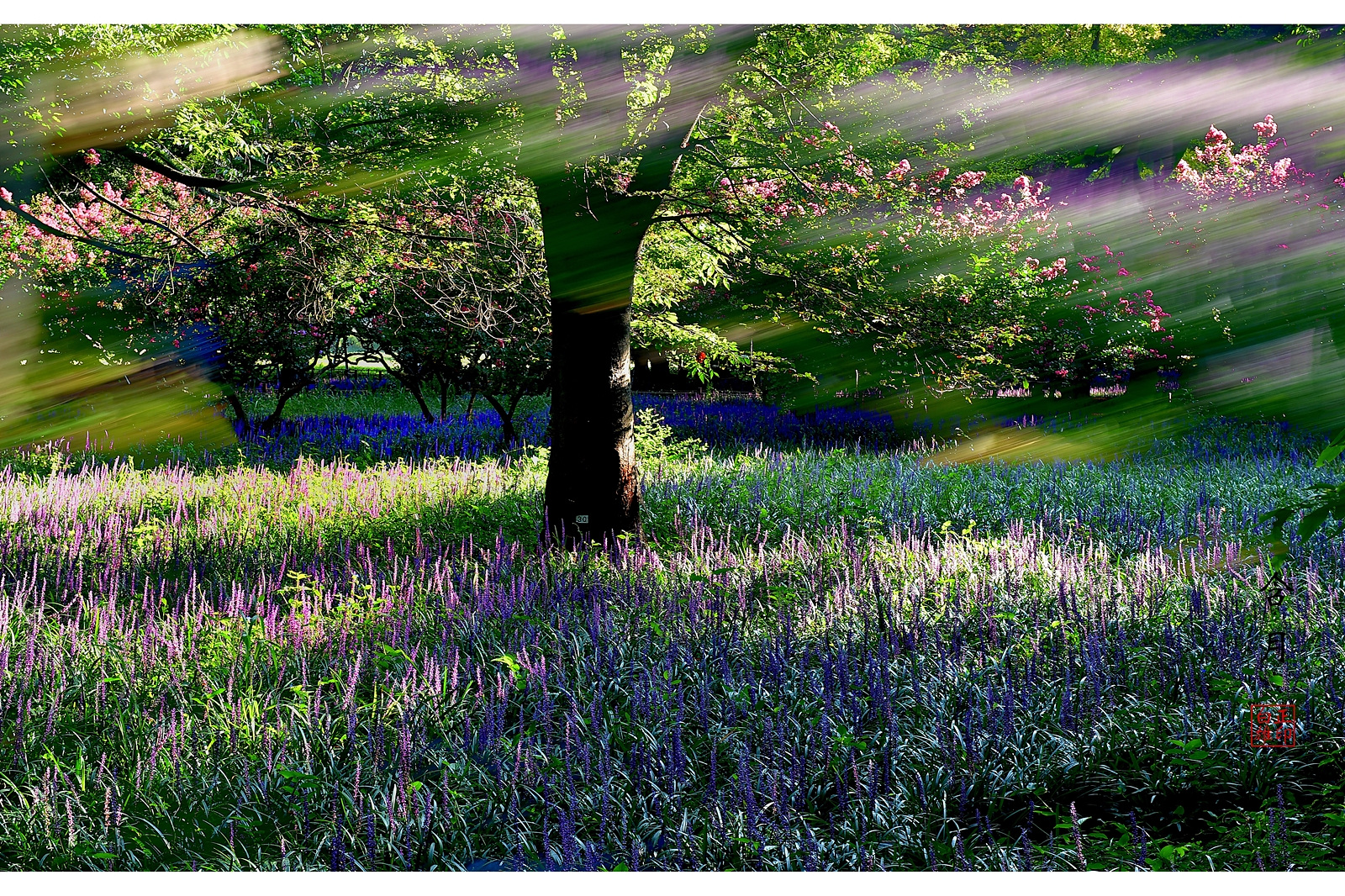 PHOTO BY Hamwuel Baek | NIKON D5 | 2024:08:13 07:35:35 | ISO-100 | 7692307/100000000 sec | f 11 | 66 mm | EV=0 | ● WIDTH:1600 pixels  HEIGHT:1155 pixels