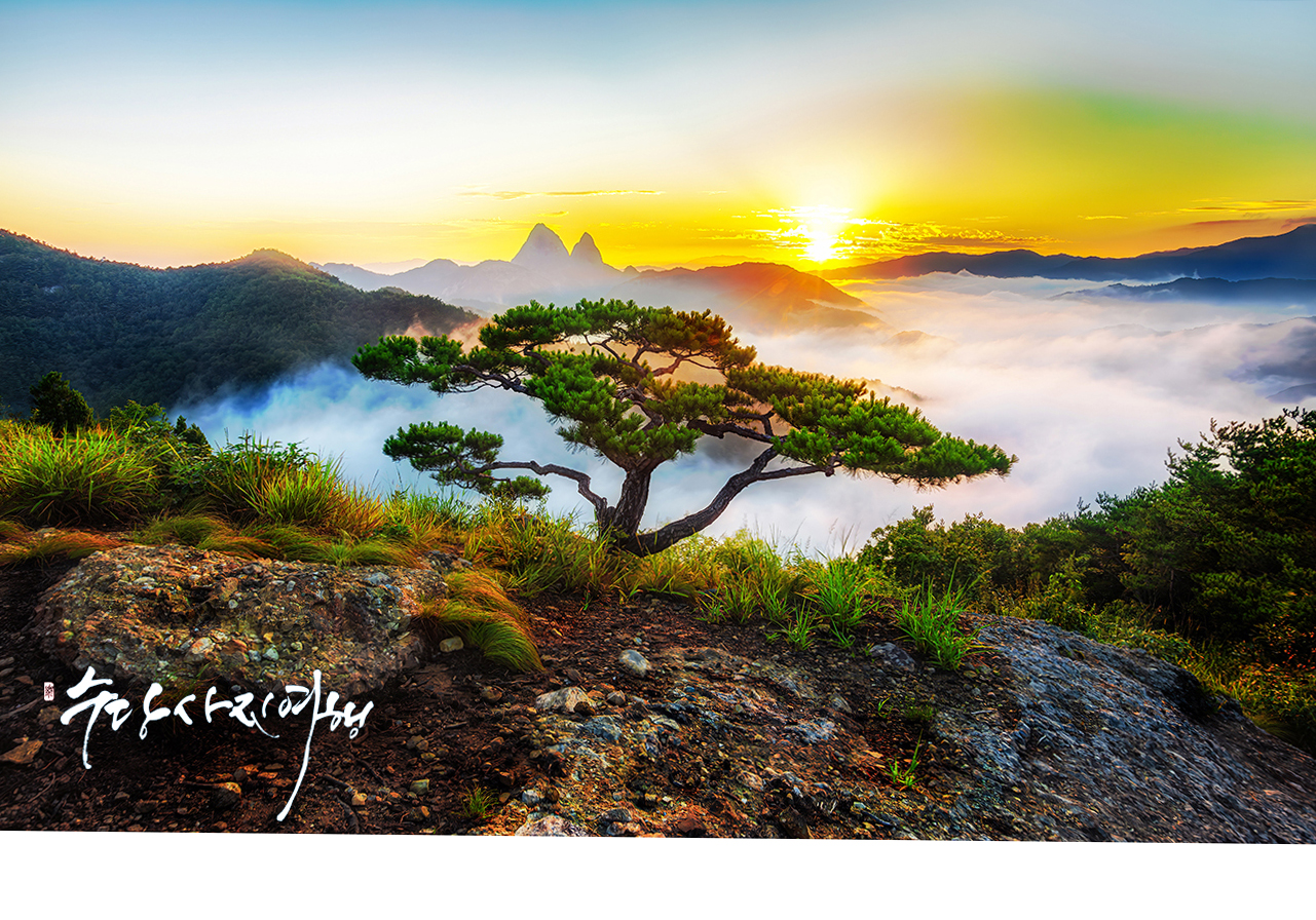   | PHOTO BY : 수당/박상돈  |
