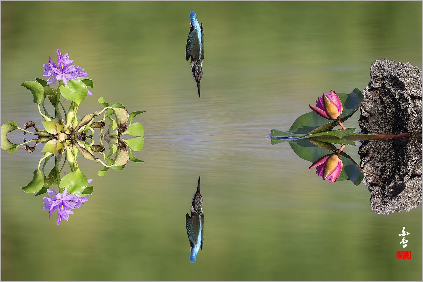 PHOTO BY  | NIKON Z 9 | 2024:08:19 08:18:21 | ISO-1250 | 1/10000 sec | f 5.6 | 600 mm | EV=-0.7 | ● WIDTH:1700 pixels  HEIGHT:1133 pixels