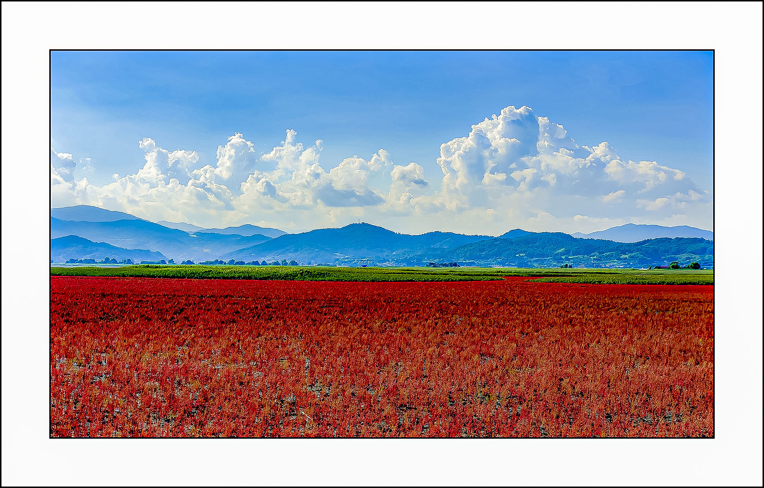   | PHOTO BY : 삿갓/정봉식  |
