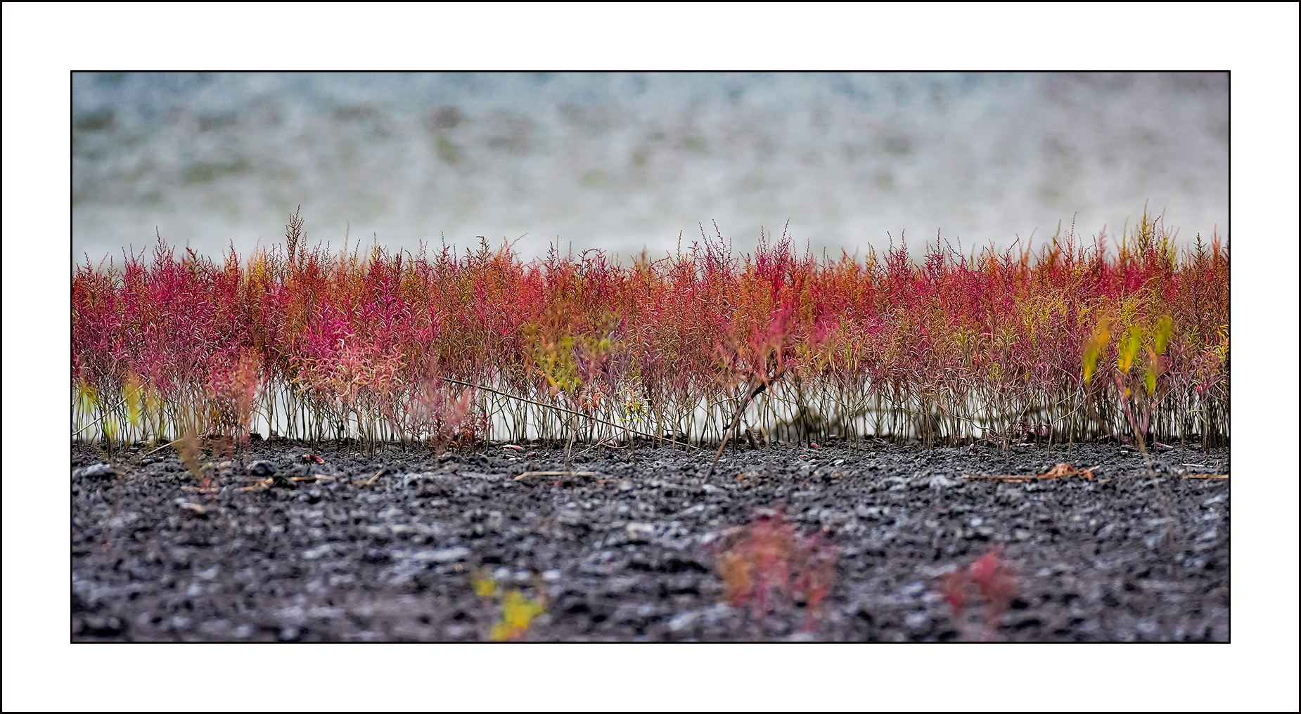   | PHOTO BY :   |