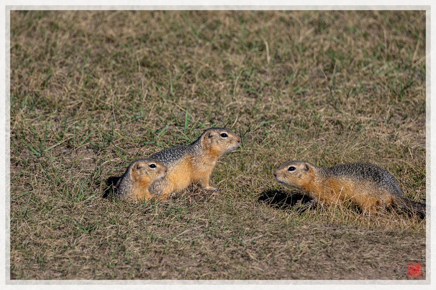 PHOTO BY  | NIKON Z 9 | 2024:08:11 10:17:57 | ISO-360 | 1/2500 sec | f 5.6 | 300 mm | EV=0 | ● WIDTH:1500 pixels  HEIGHT:999 pixels