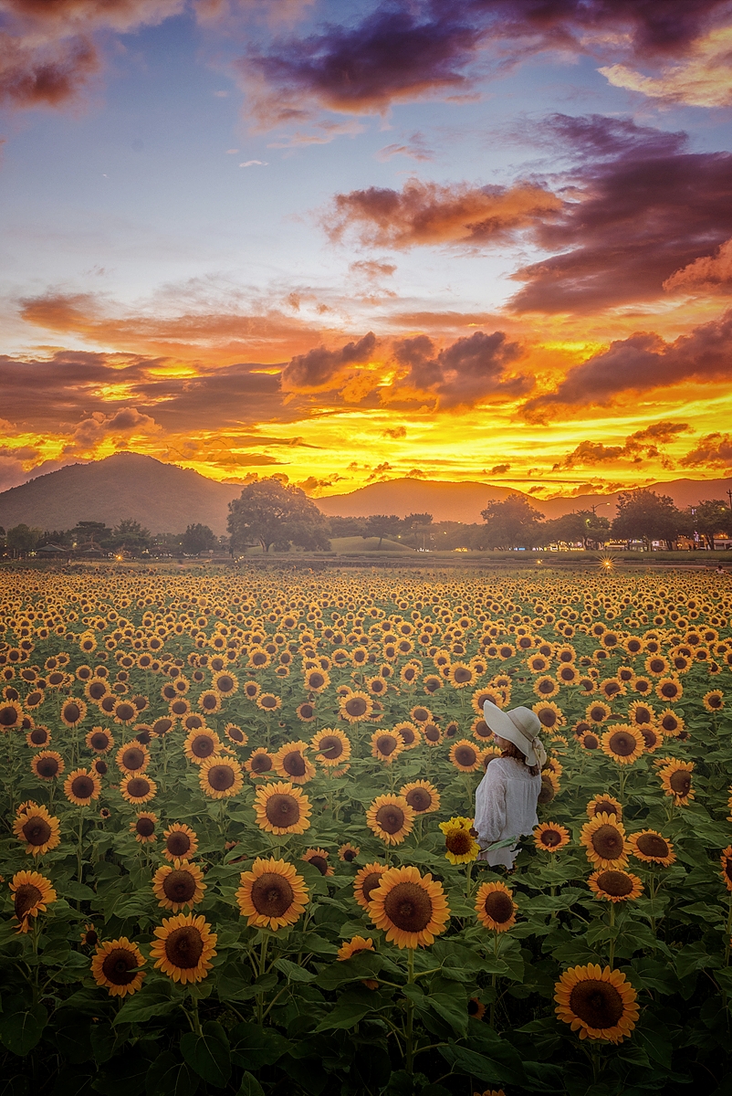   | PHOTO BY :   |